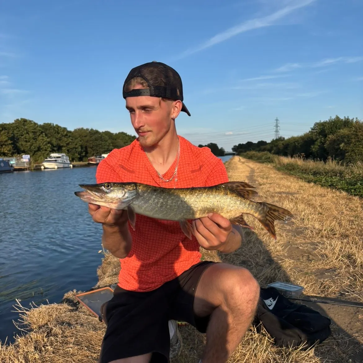 Northern pike caught on Fishbrain