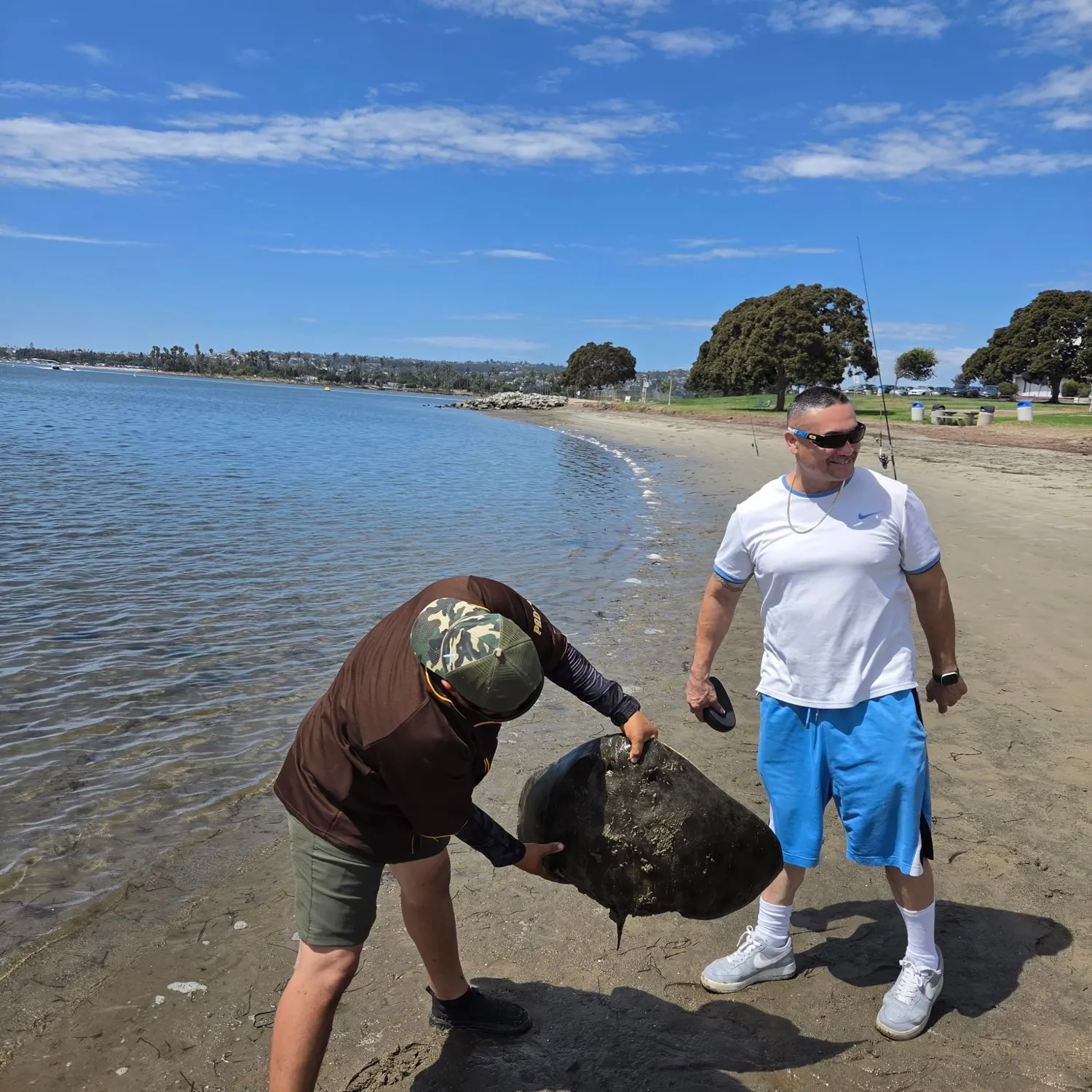 Spiny butterfly ray caught on Fishbrain