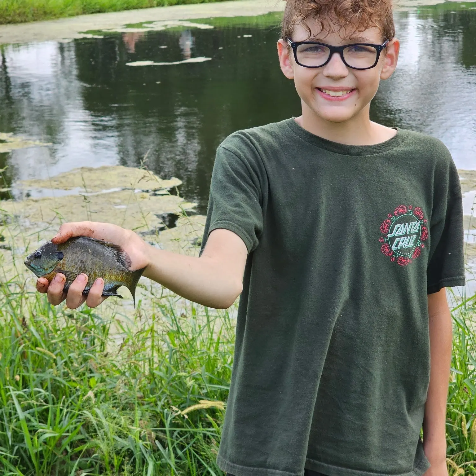 Bluegill caught on Fishbrain
