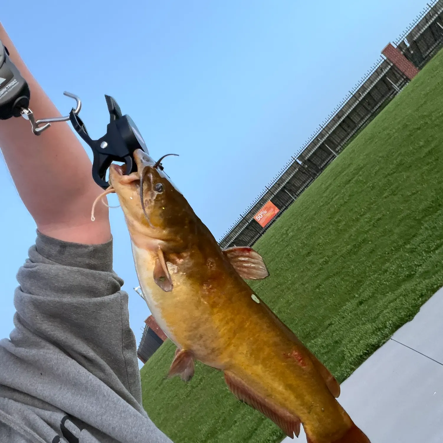 catch