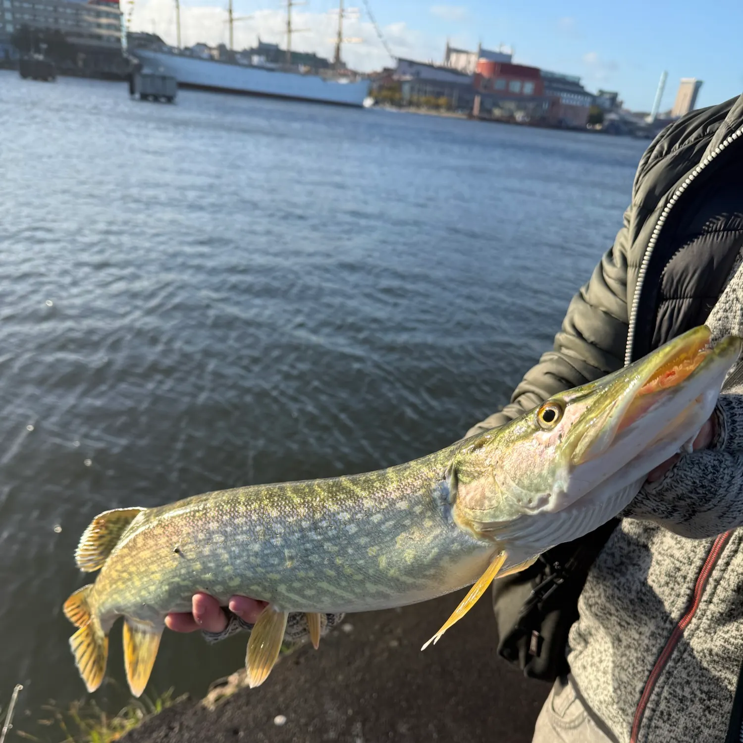 catch