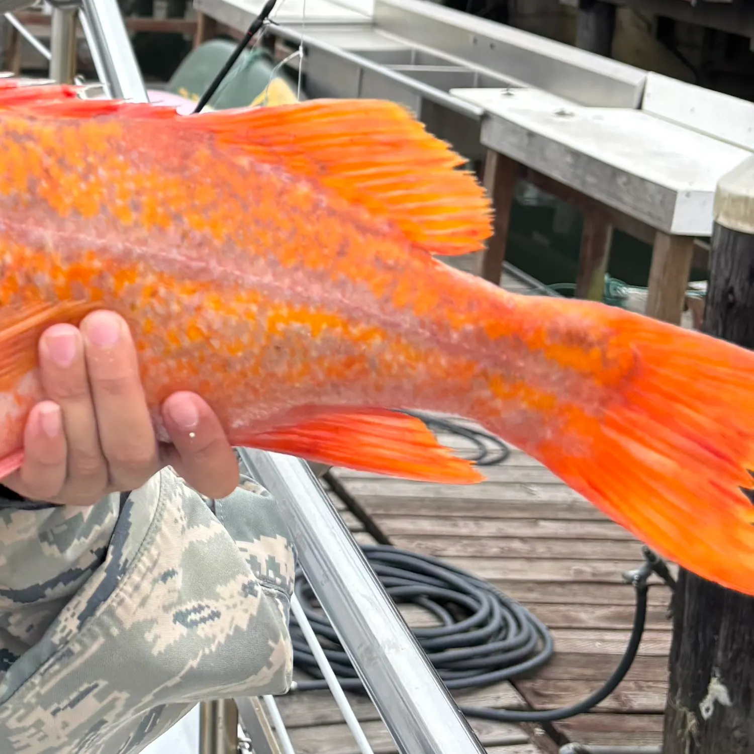catch
