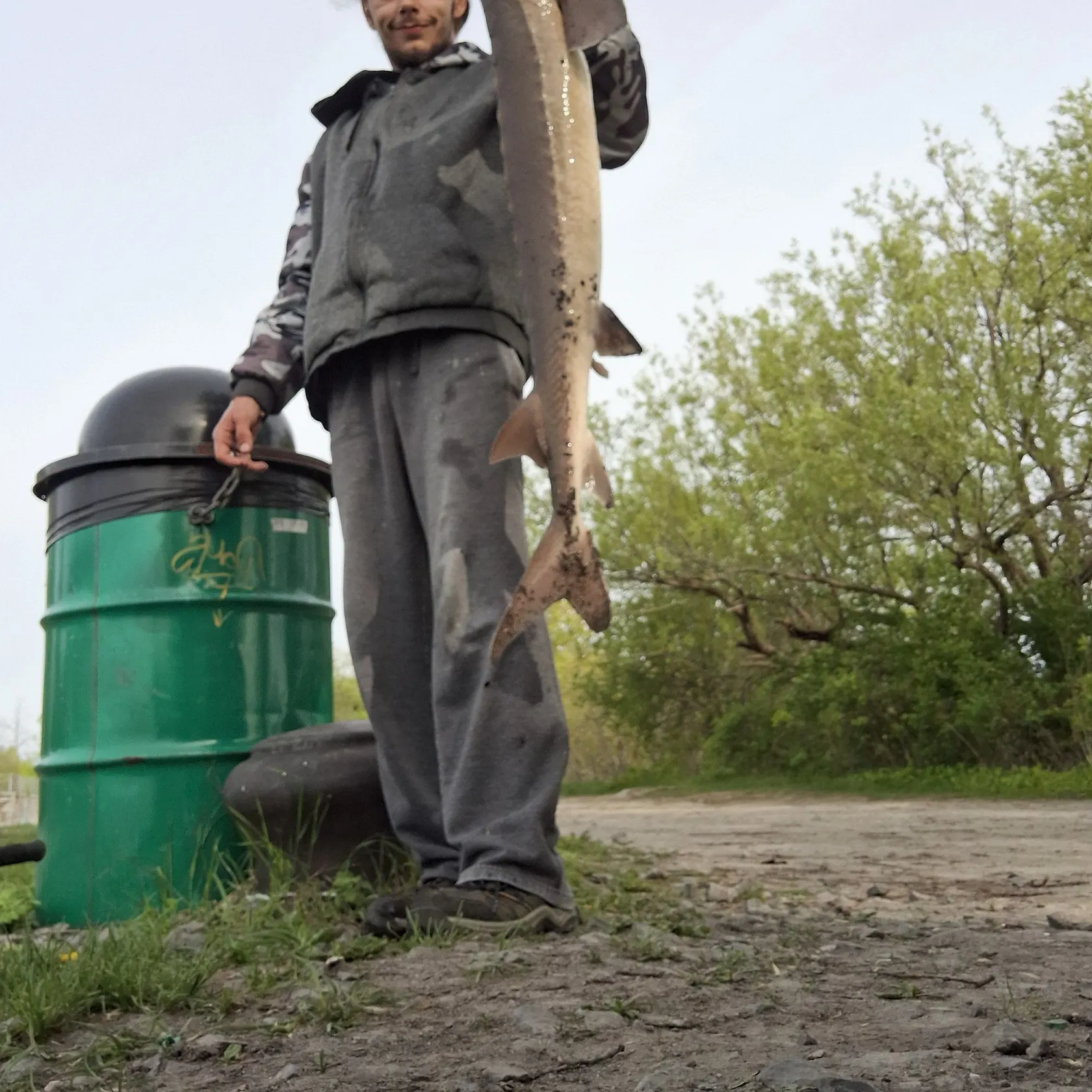 The most recent Lake sturgeon catches on Fishbrain
