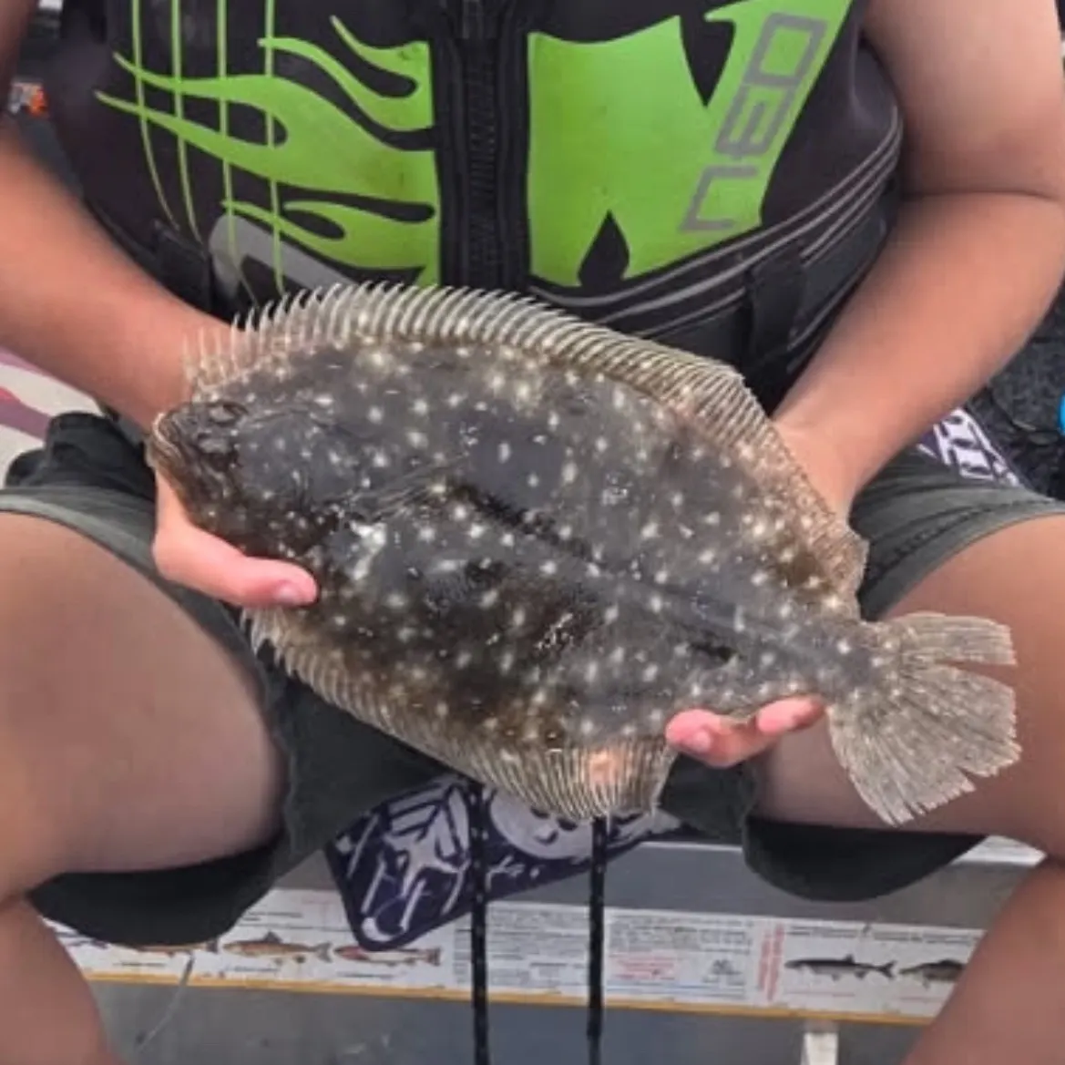 The most recent Pacific halibut catches on Fishbrain