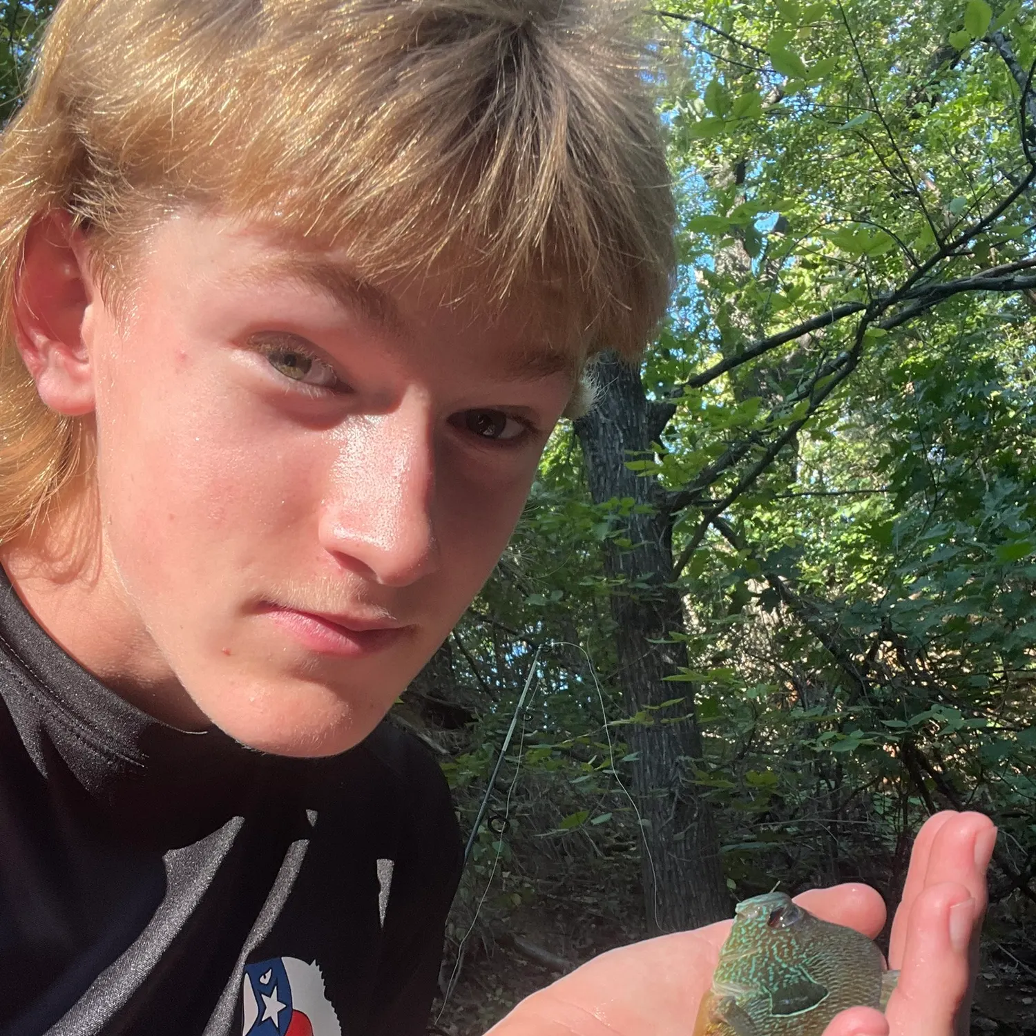 Longear sunfish caught on Fishbrain
