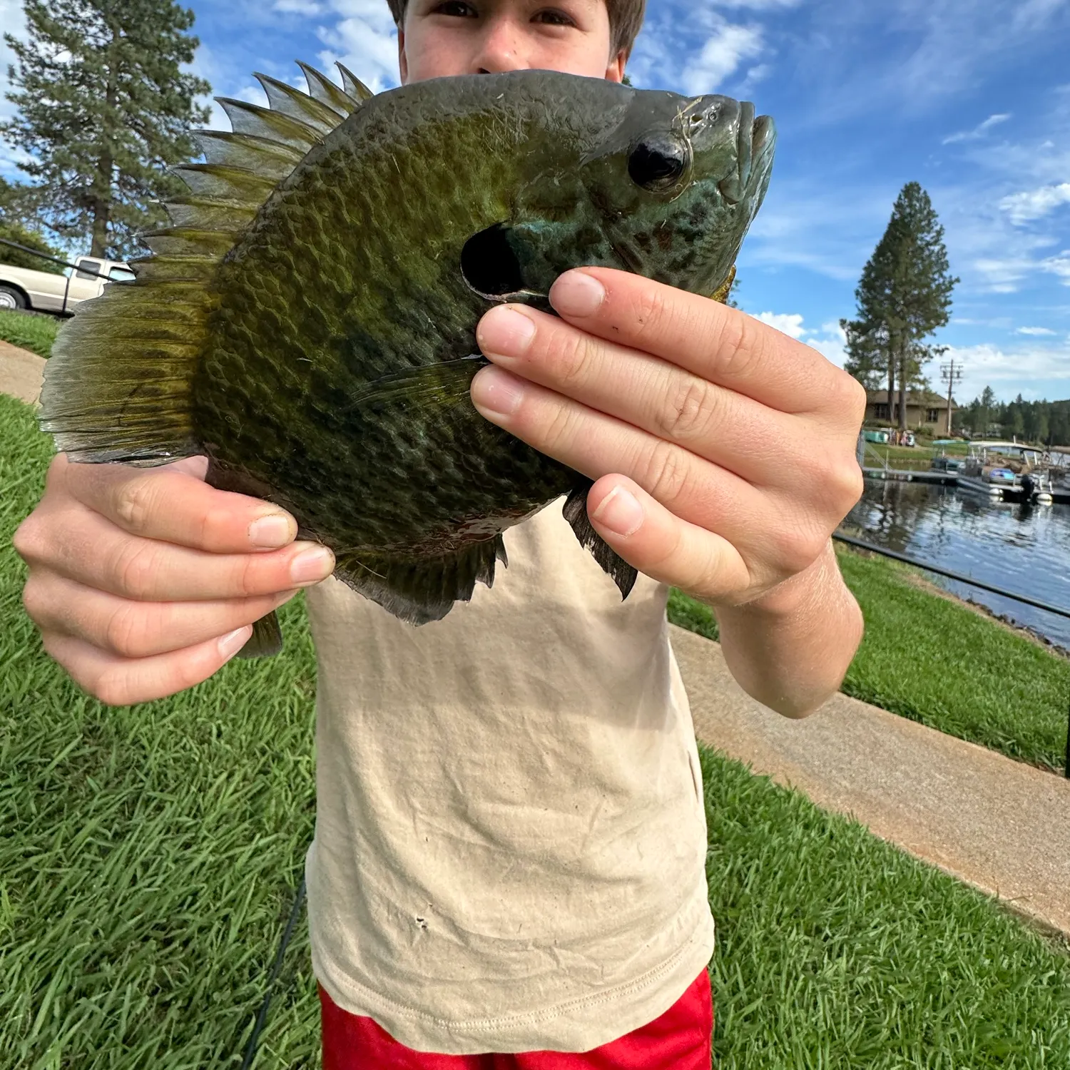 catch