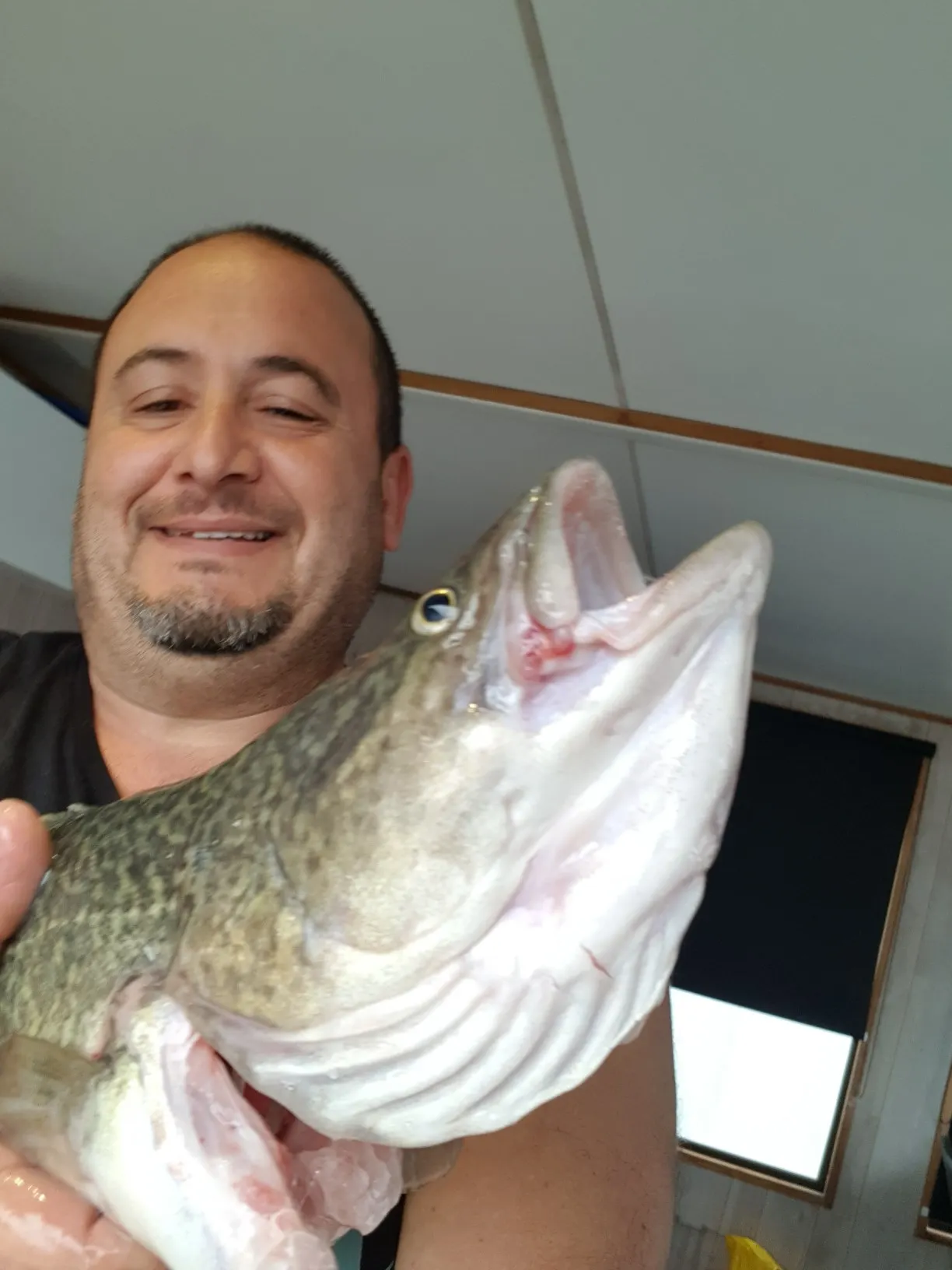 Post image from topcatch1968