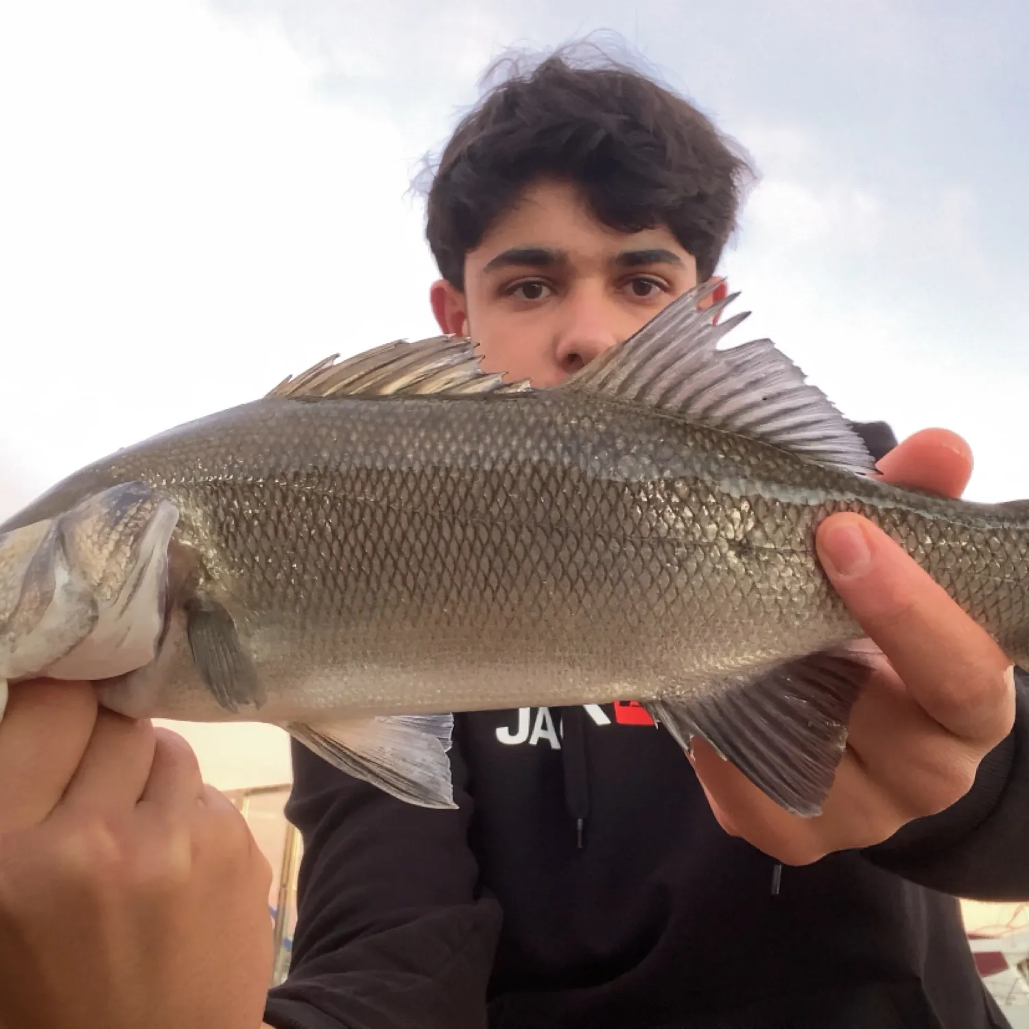 The most recent European seabass catches on Fishbrain