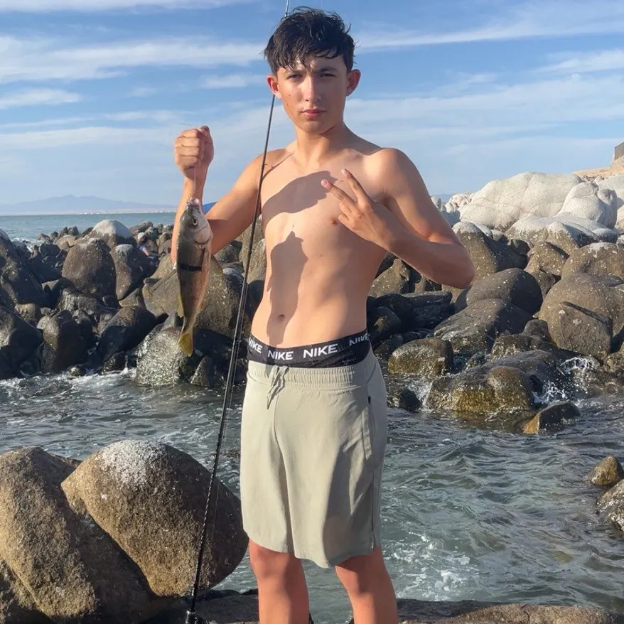 The most recent Sargo catches on Fishbrain
