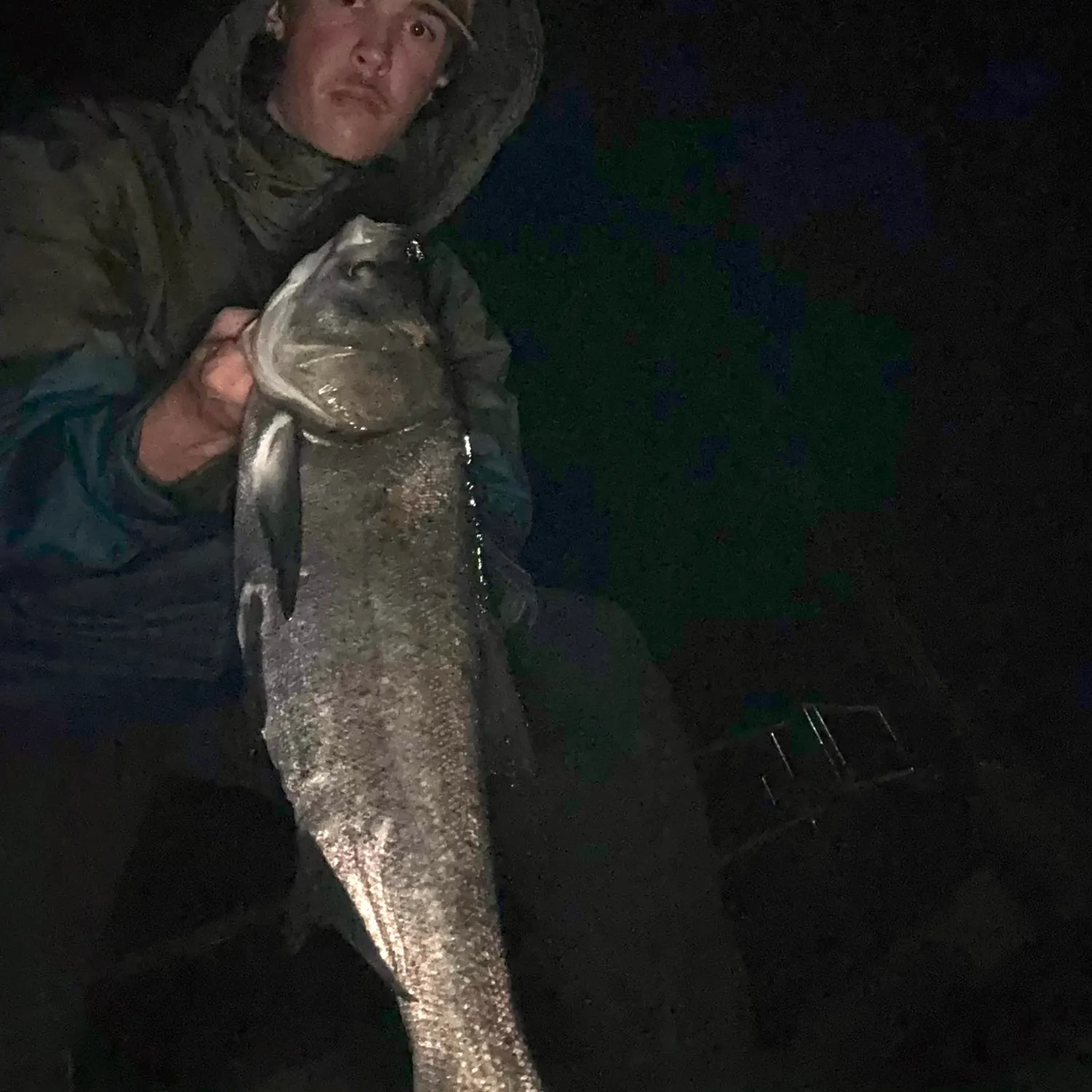 Silver carp caught on Fishbrain