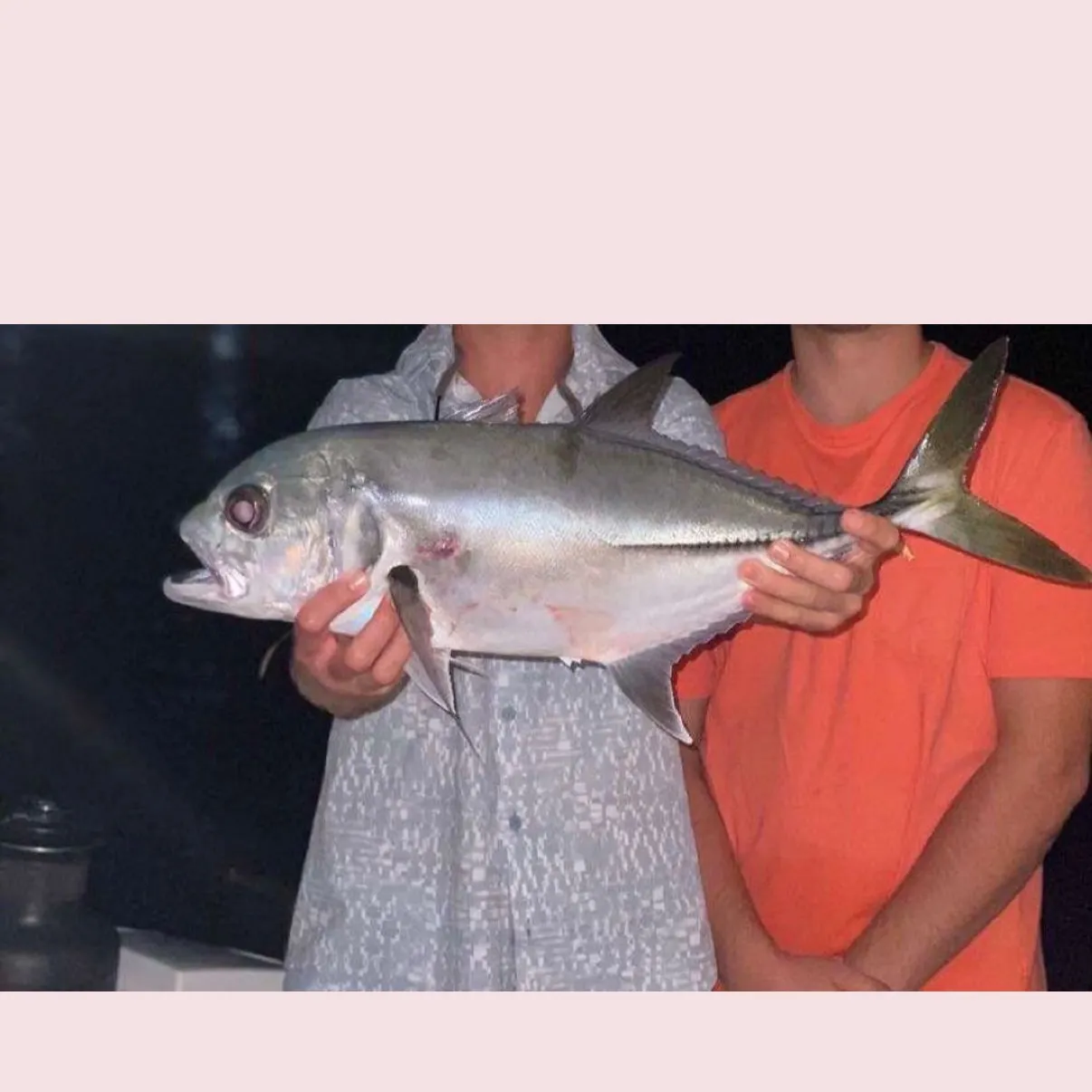 The most recent Horse-eye jack catches on Fishbrain