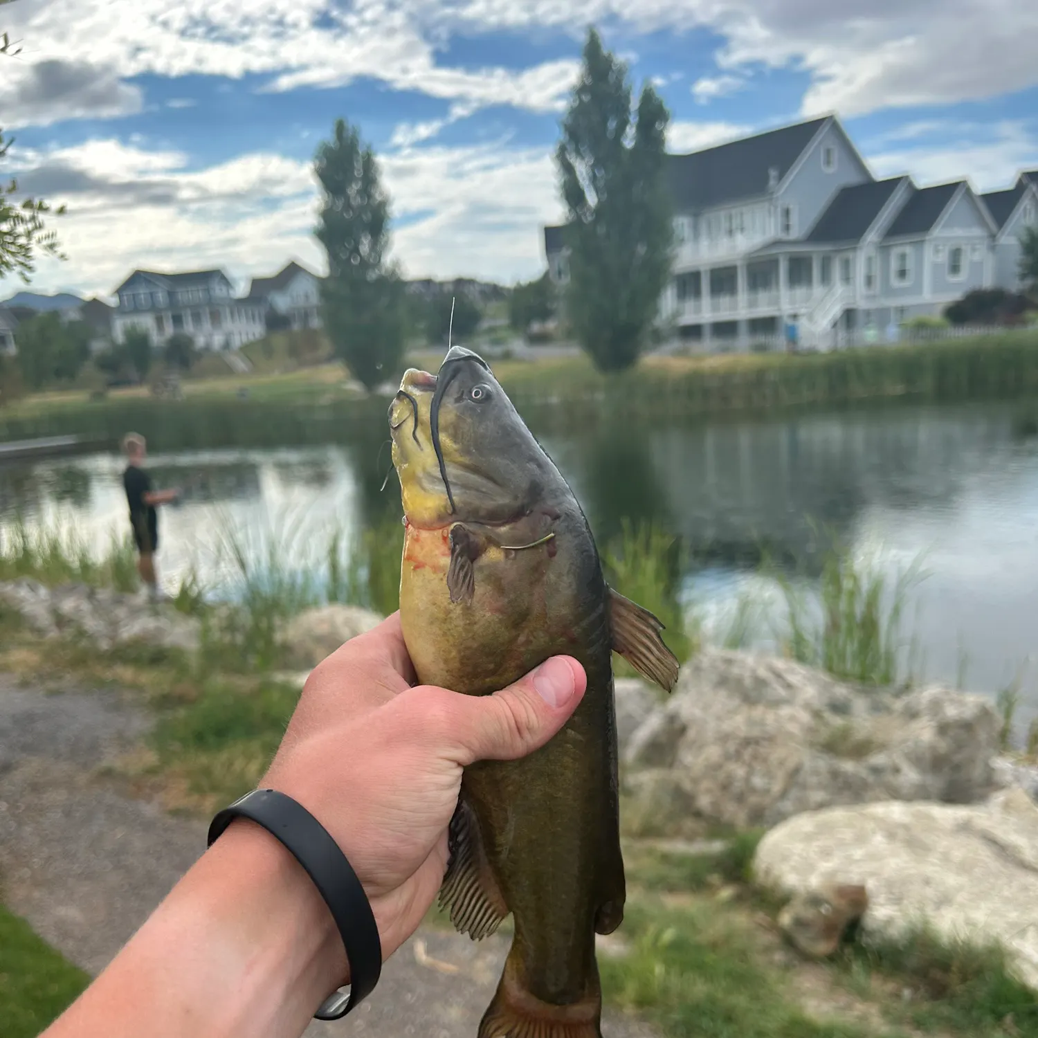 catch