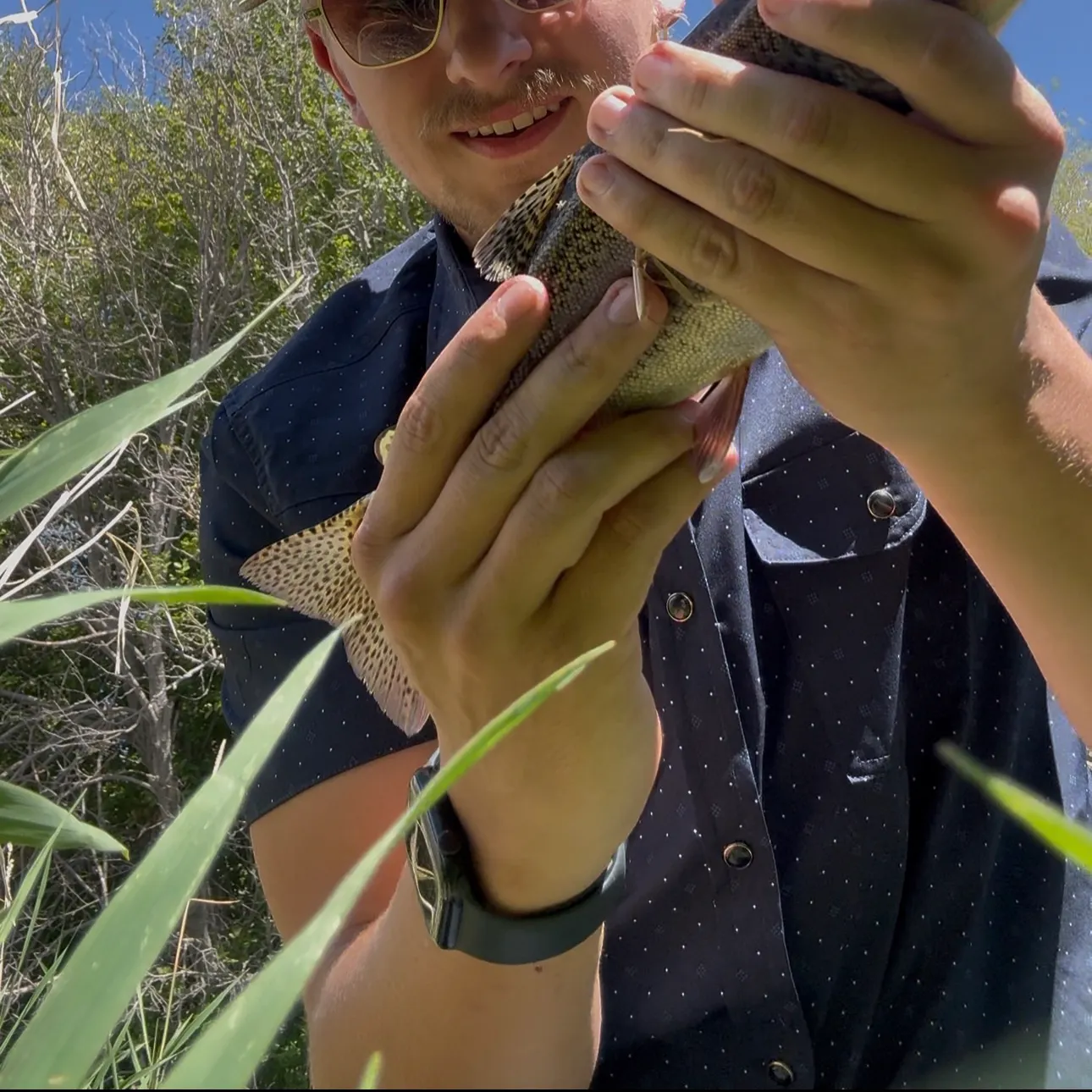 Rainbow trout caught on Fishbrain
