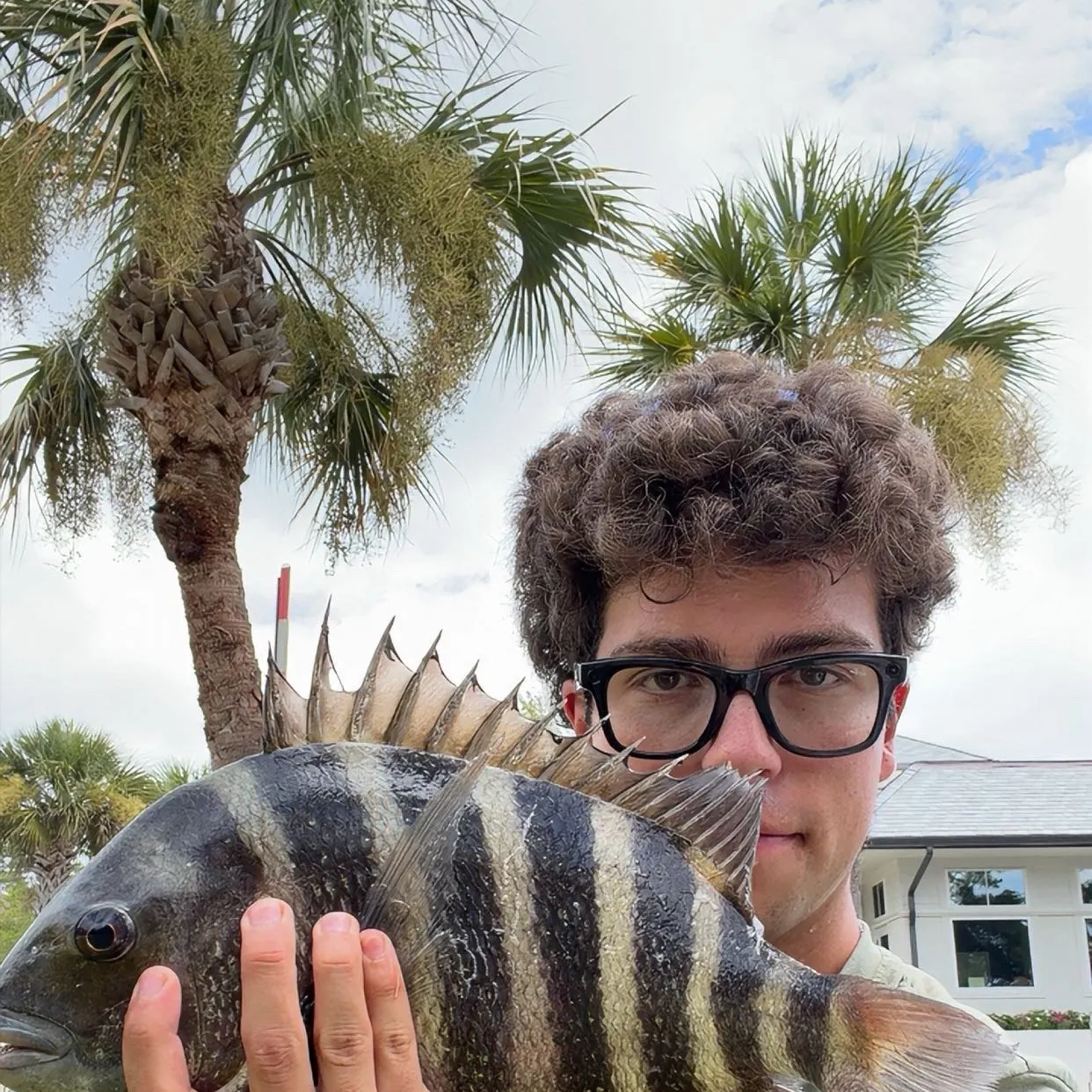 Sheepshead caught on Fishbrain