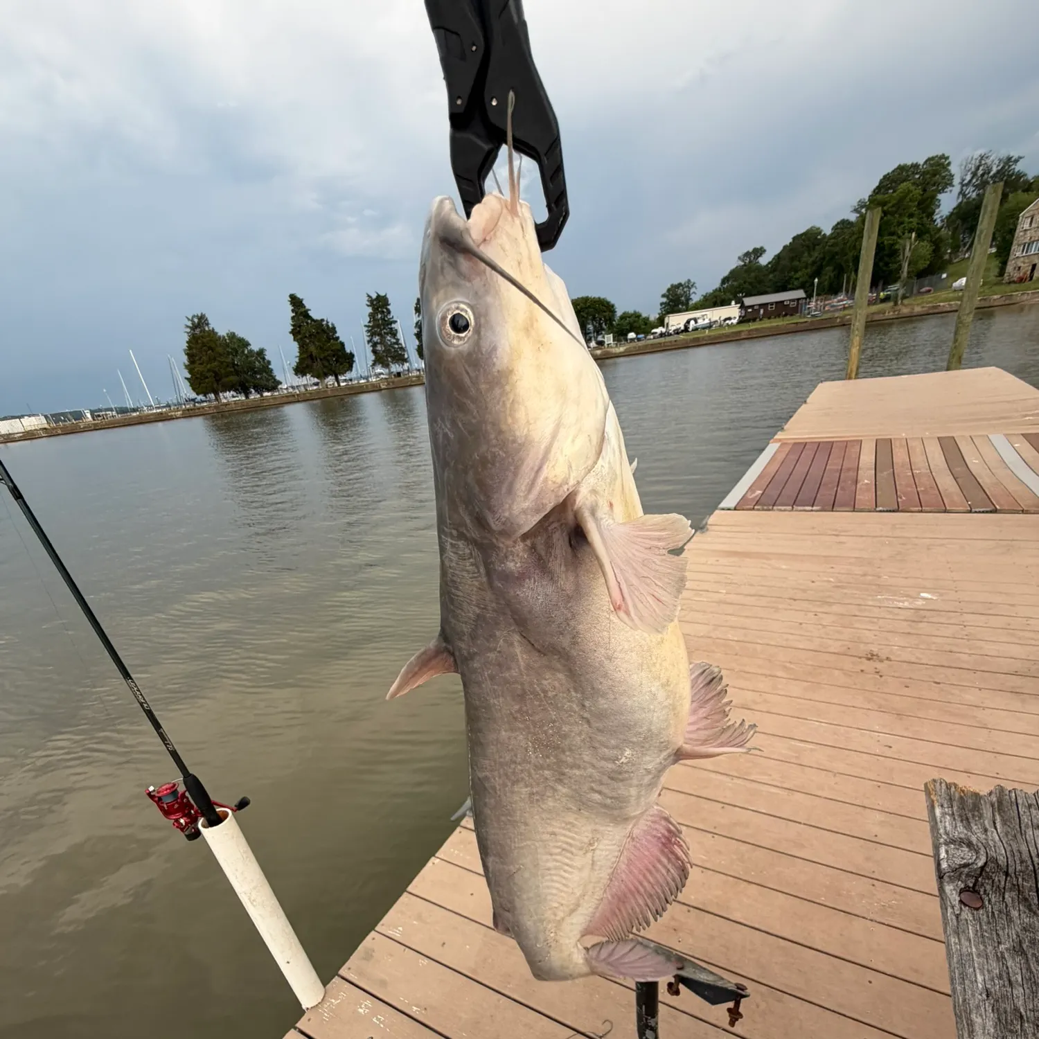 catch