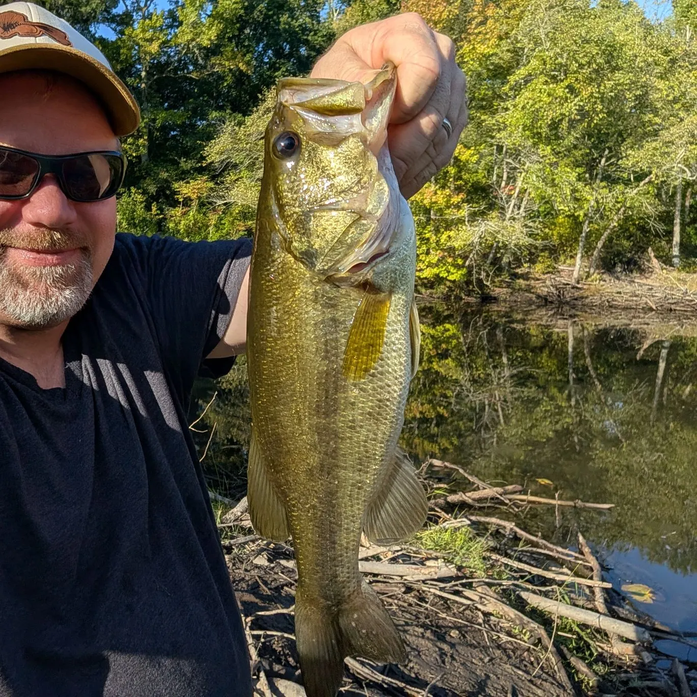 Largemouth bass caught on Fishbrain