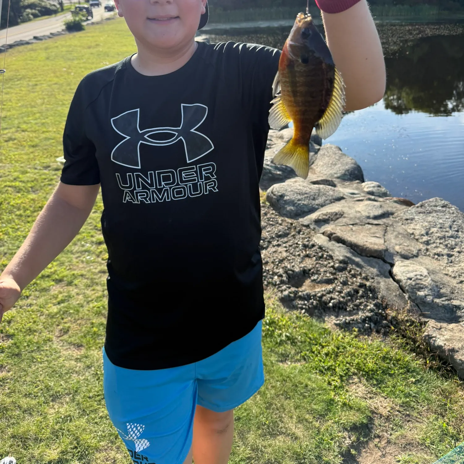 Bluegill caught on Fishbrain