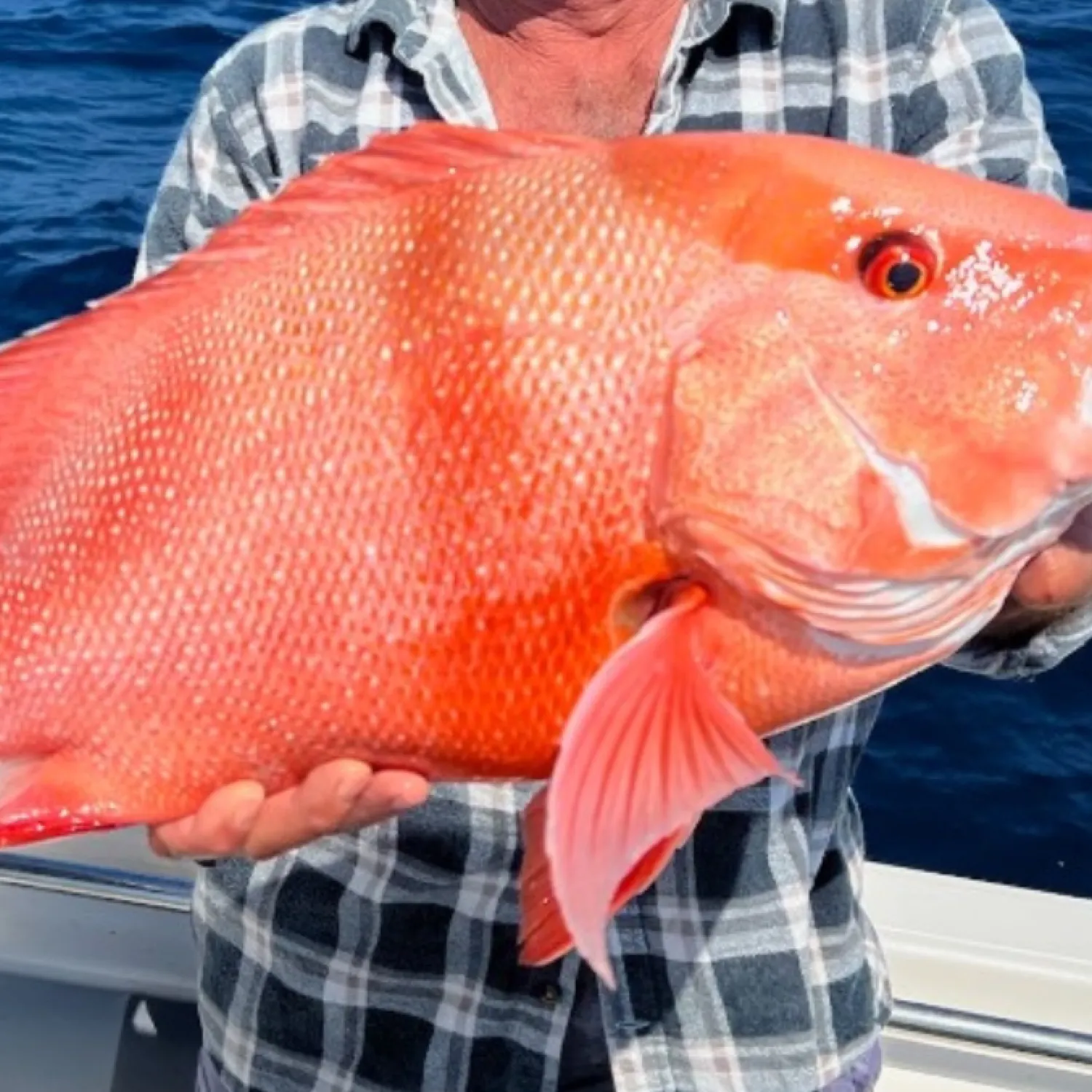 most liked catch image