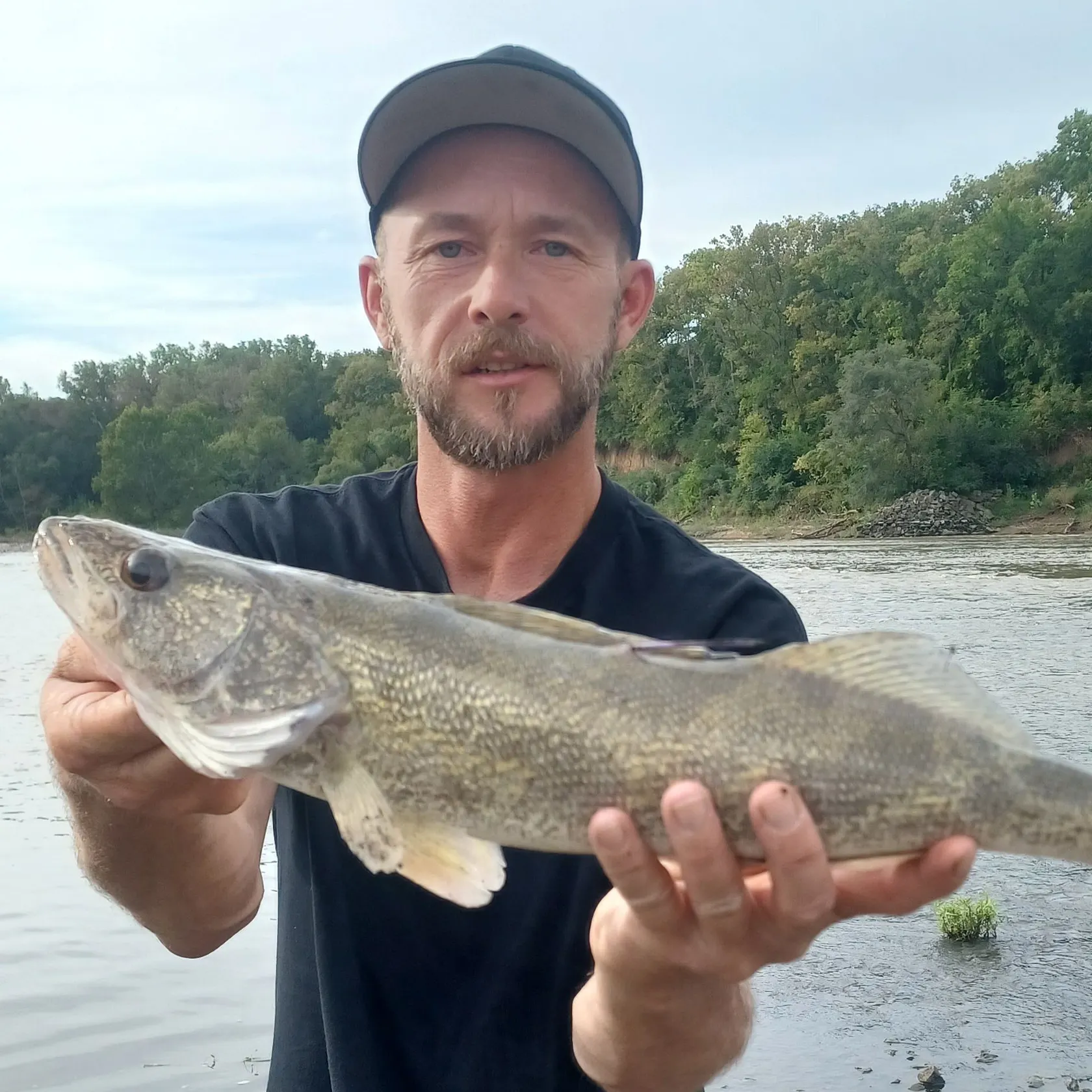 Saugeye caught on Fishbrain