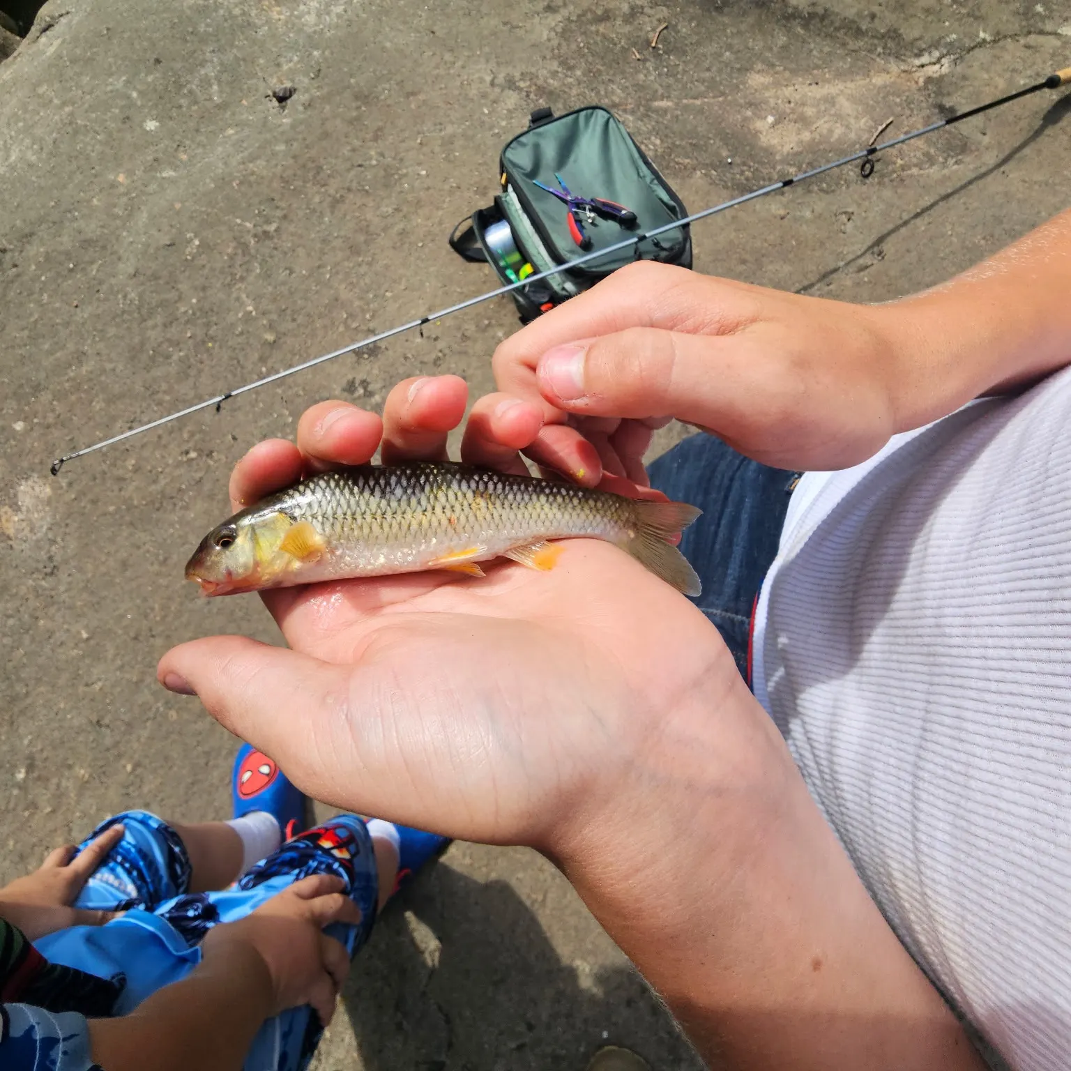 angler catch