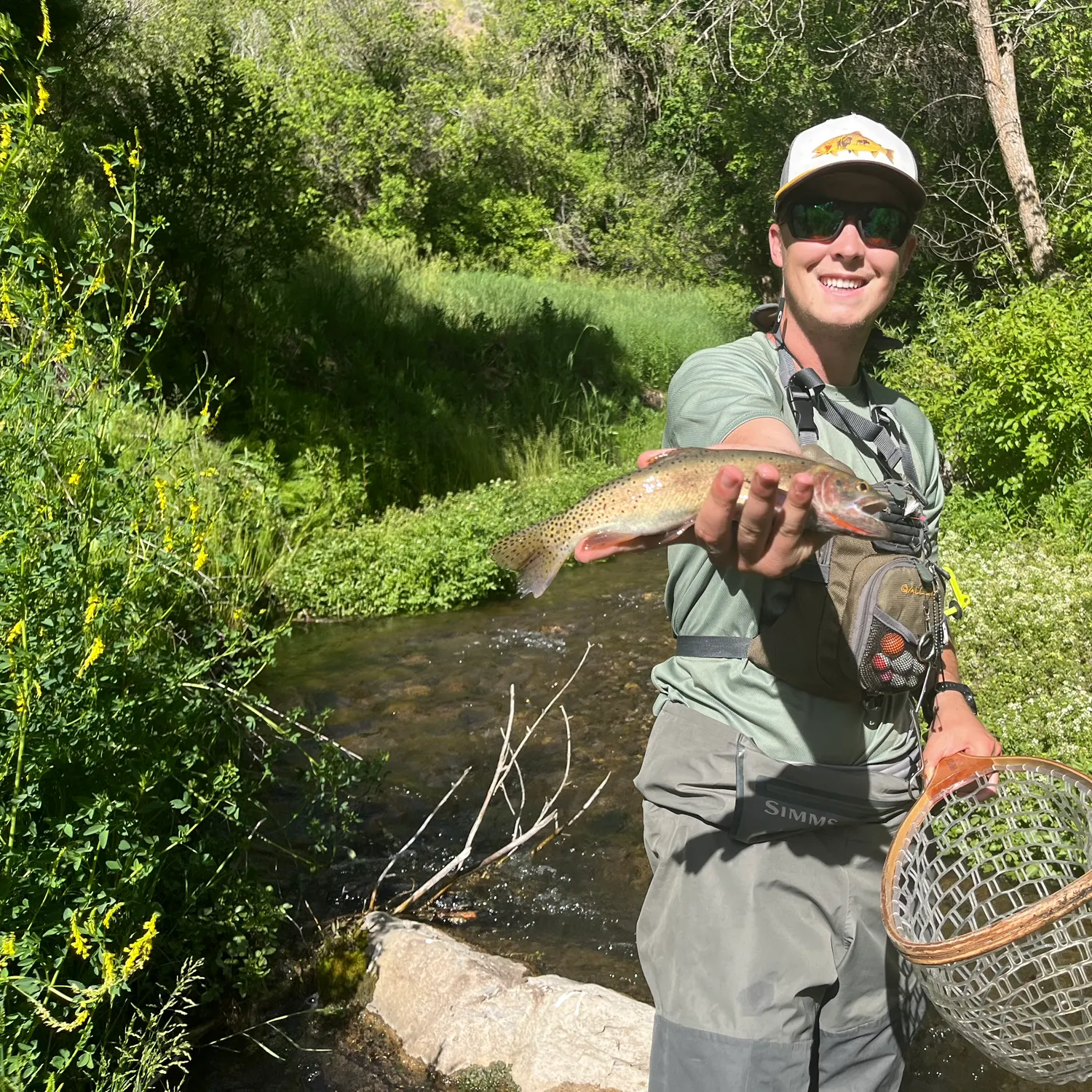 The most recent Bear River cutthroat trout catches on Fishbrain