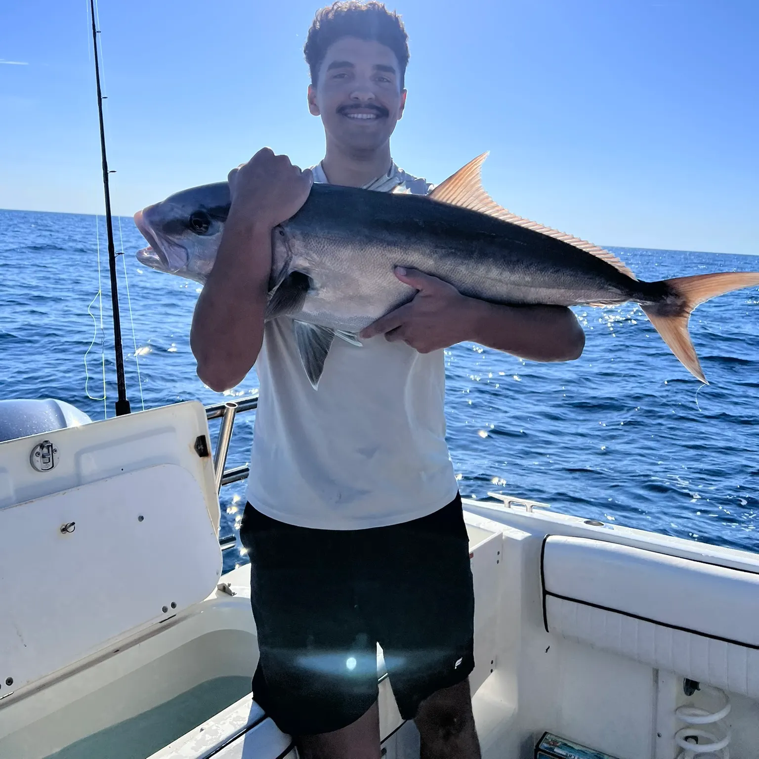The most recent Greater amberjack catches on Fishbrain