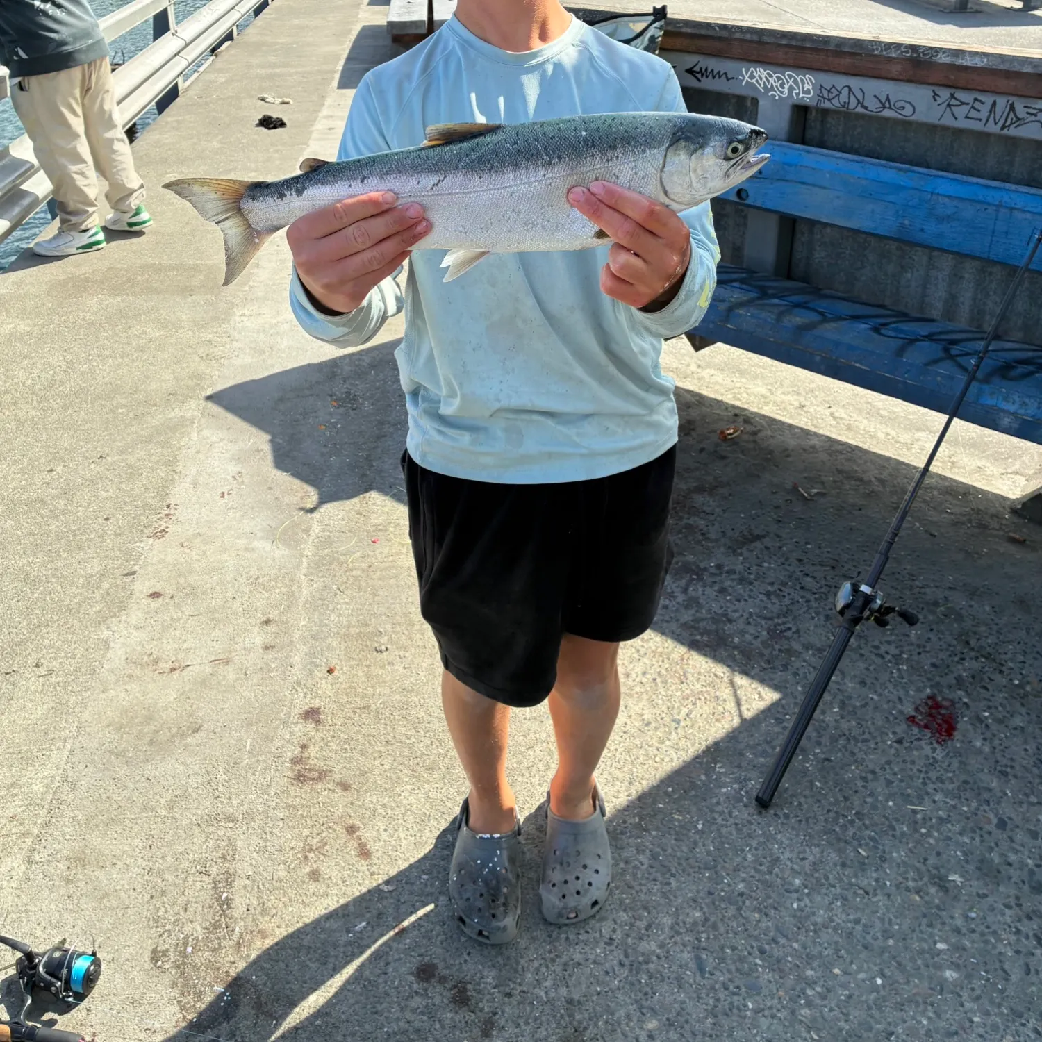 Coho salmon caught on Fishbrain