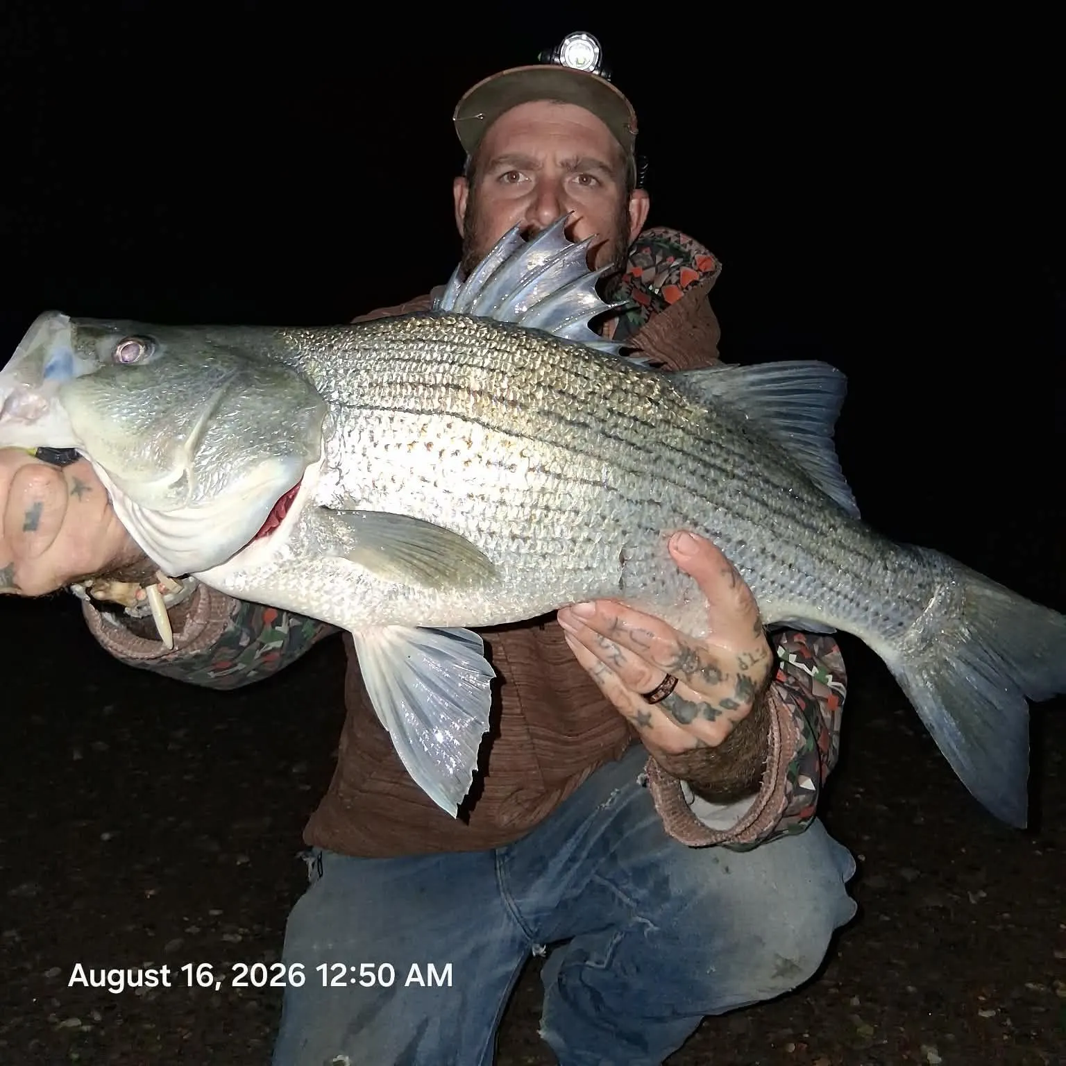 recently logged catches