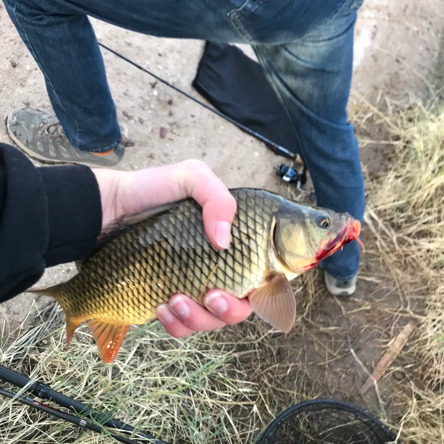 catch