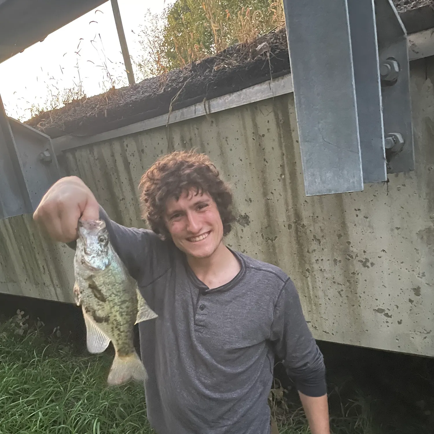 White crappie caught on Fishbrain