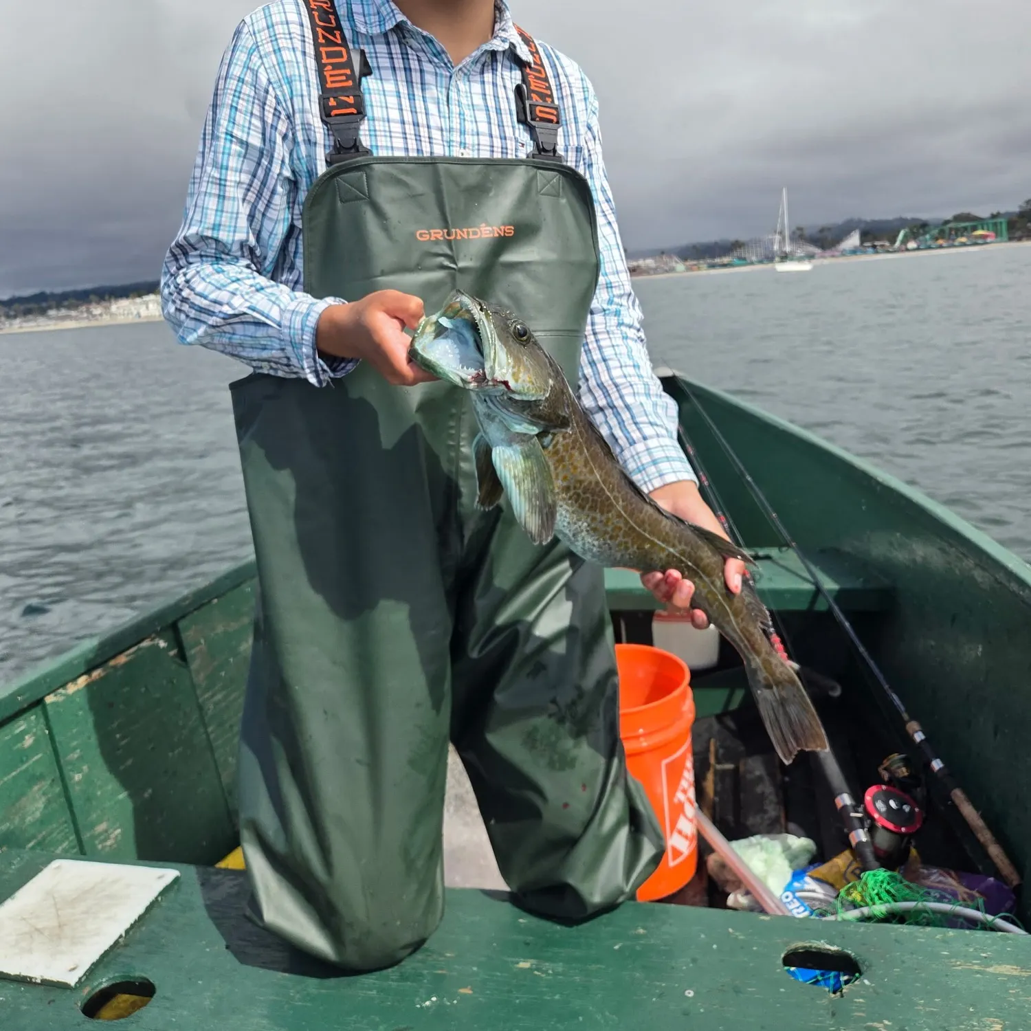 The most recent Lingcod catches on Fishbrain