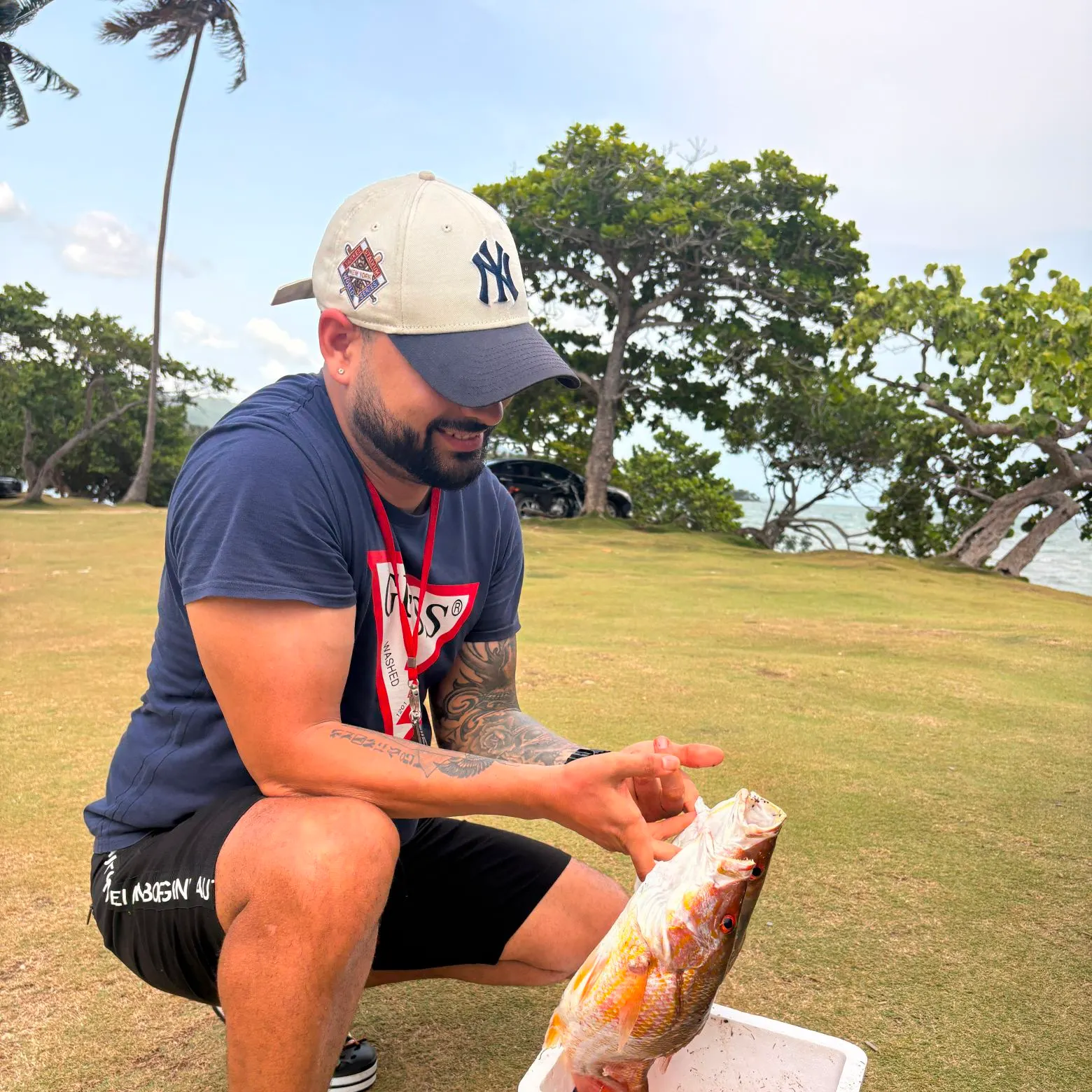 Yellowtail snapper caught on Fishbrain