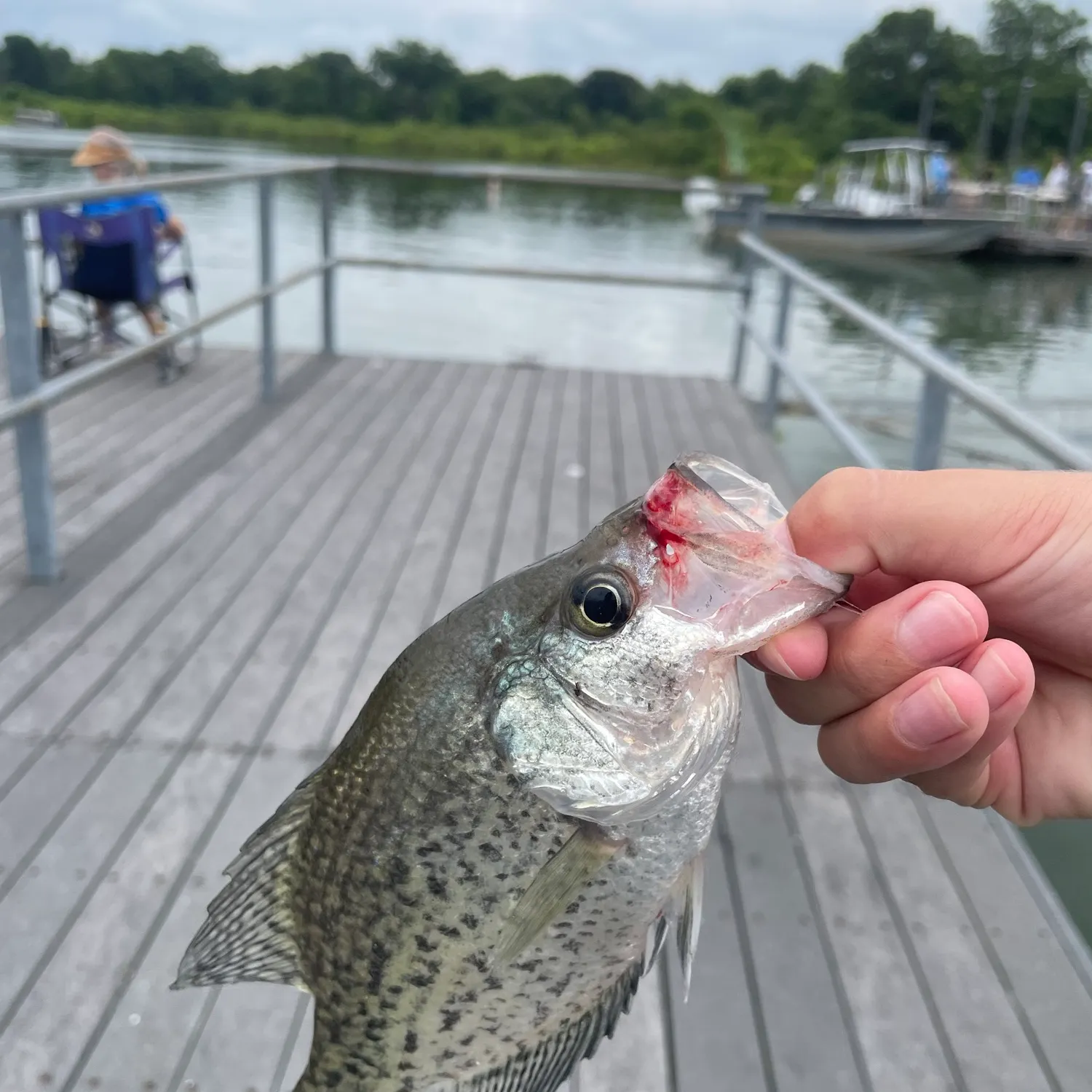 catch