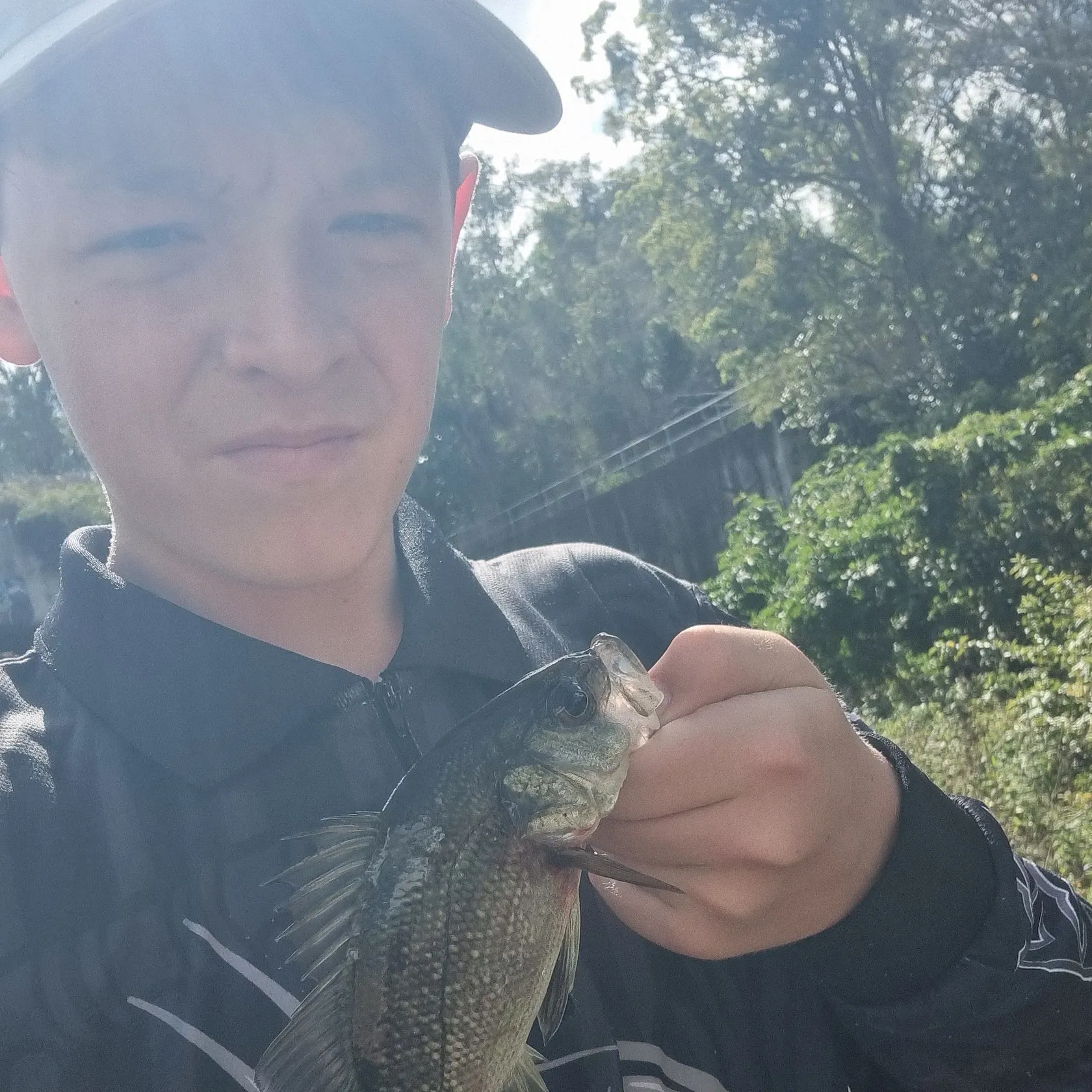 Australian bass caught on Fishbrain