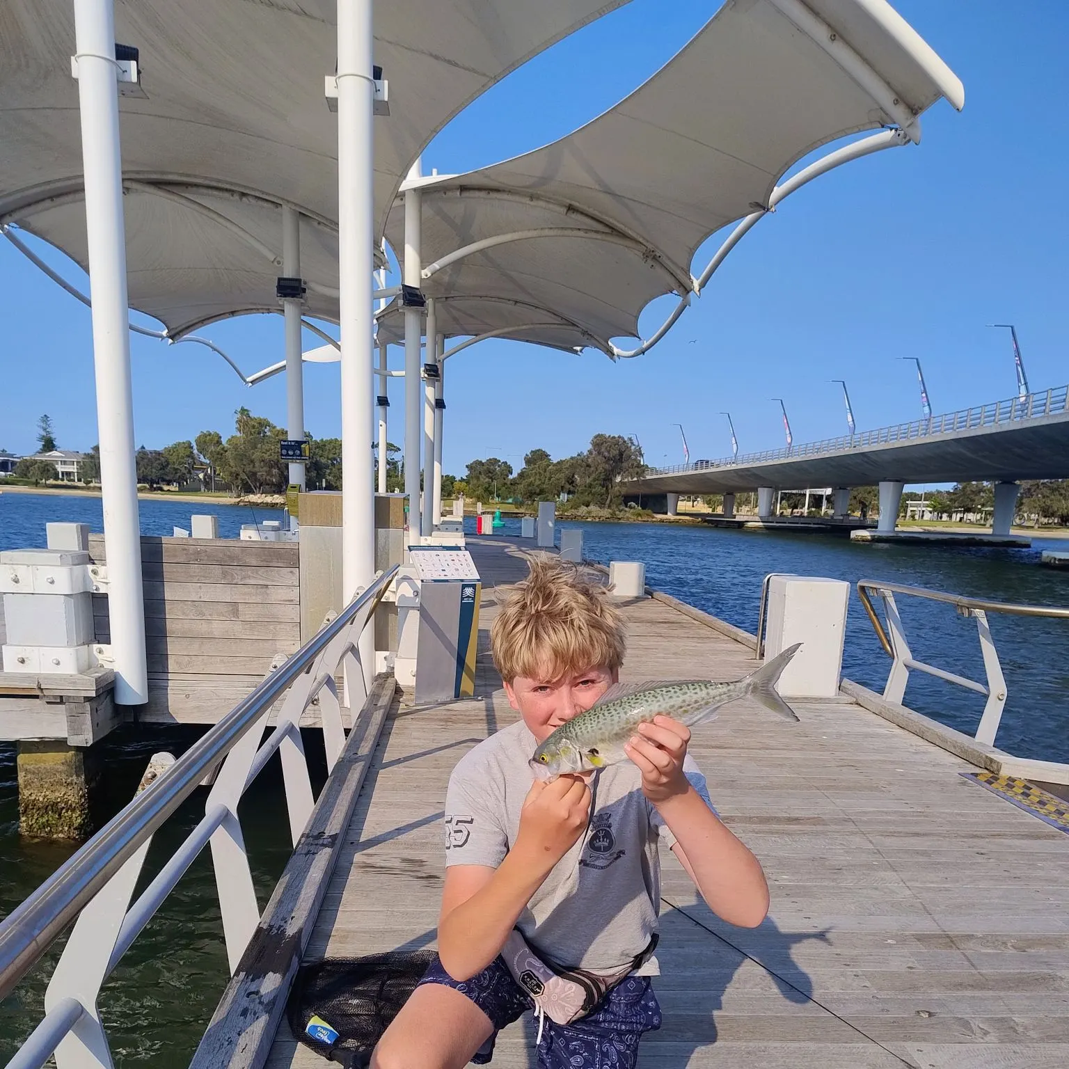 The most recent Western Australian salmon catches on Fishbrain