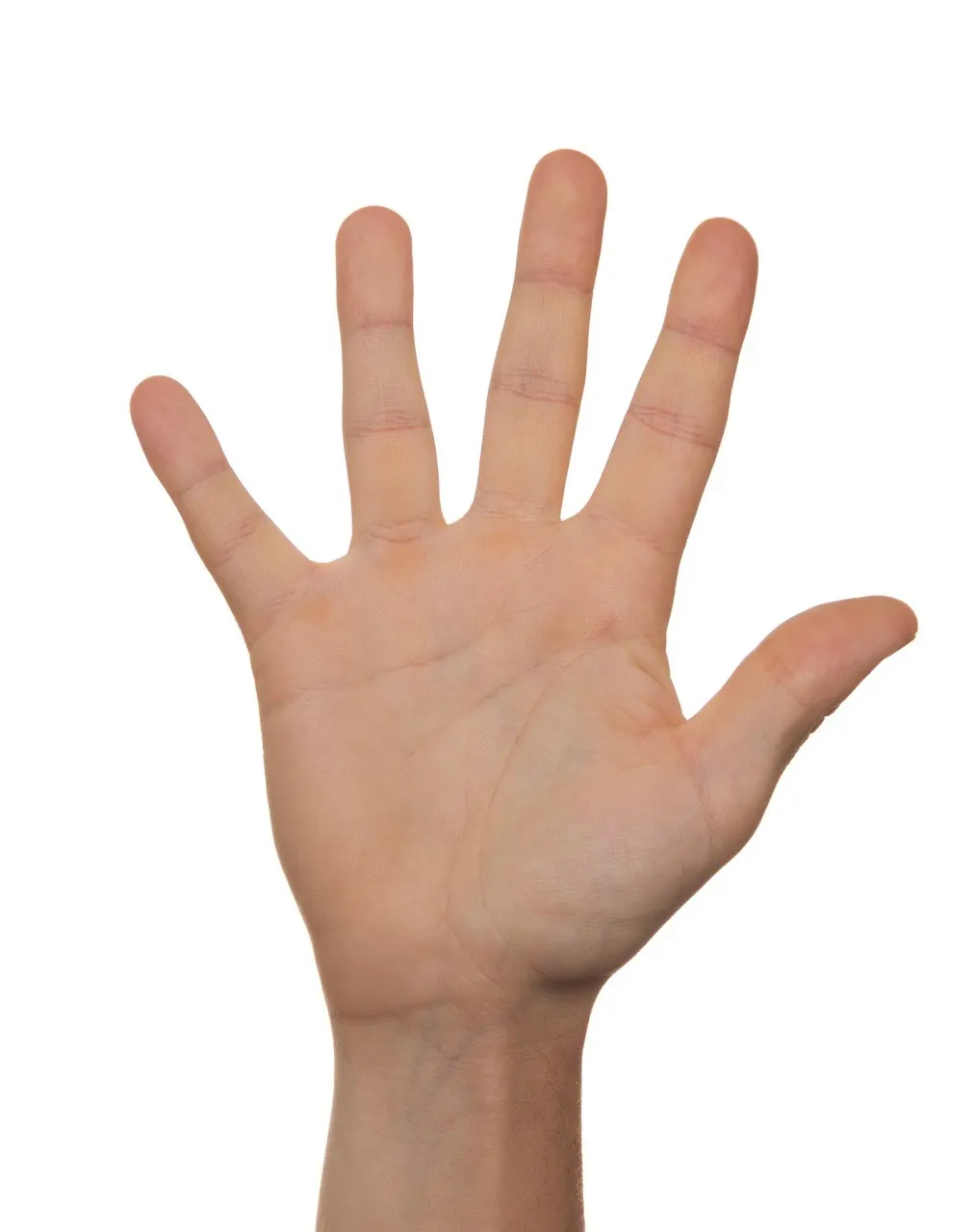 Hands