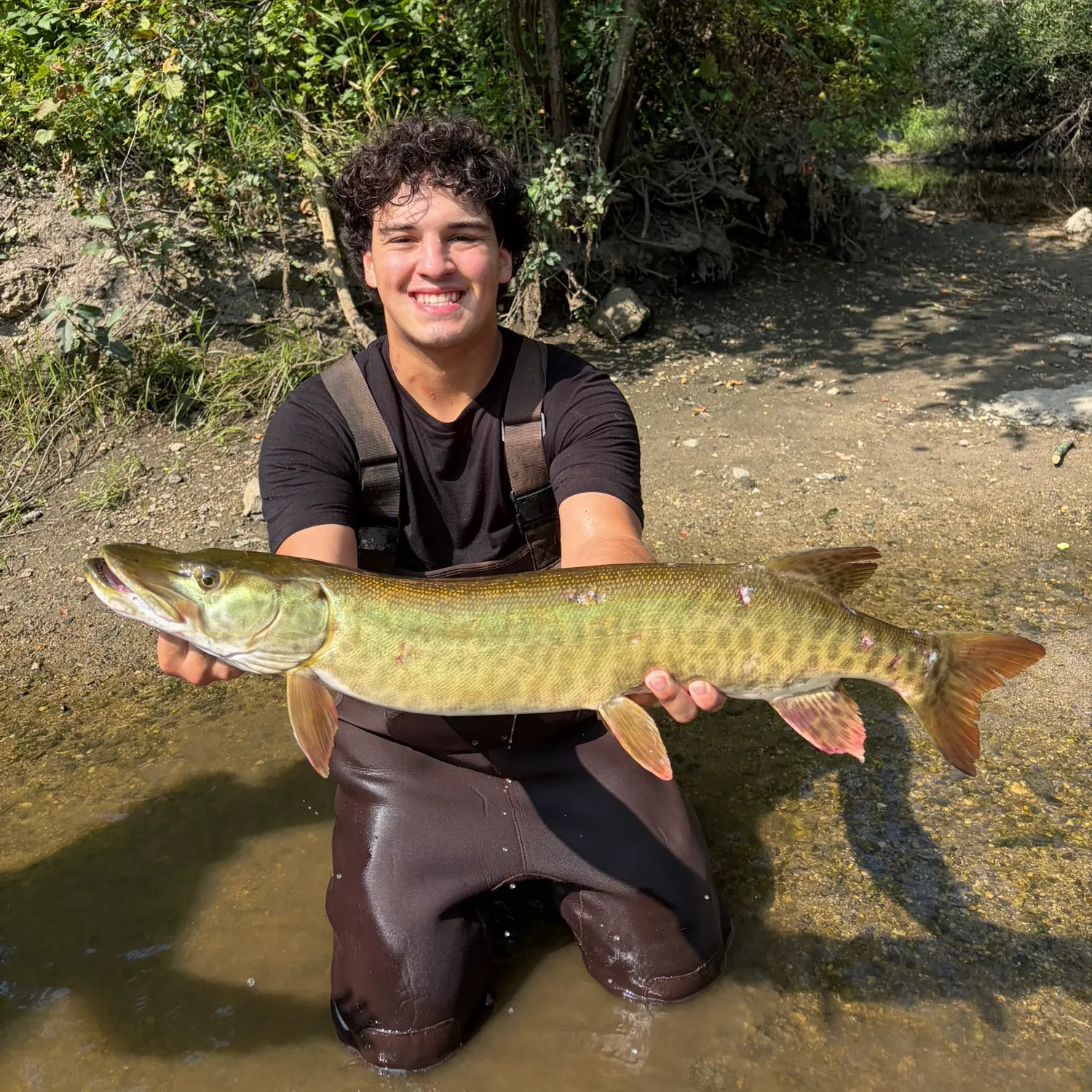 Muskie caught on Fishbrain