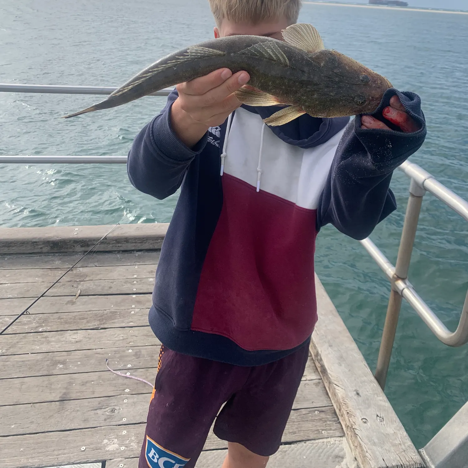 Dusky flathead caught on Fishbrain
