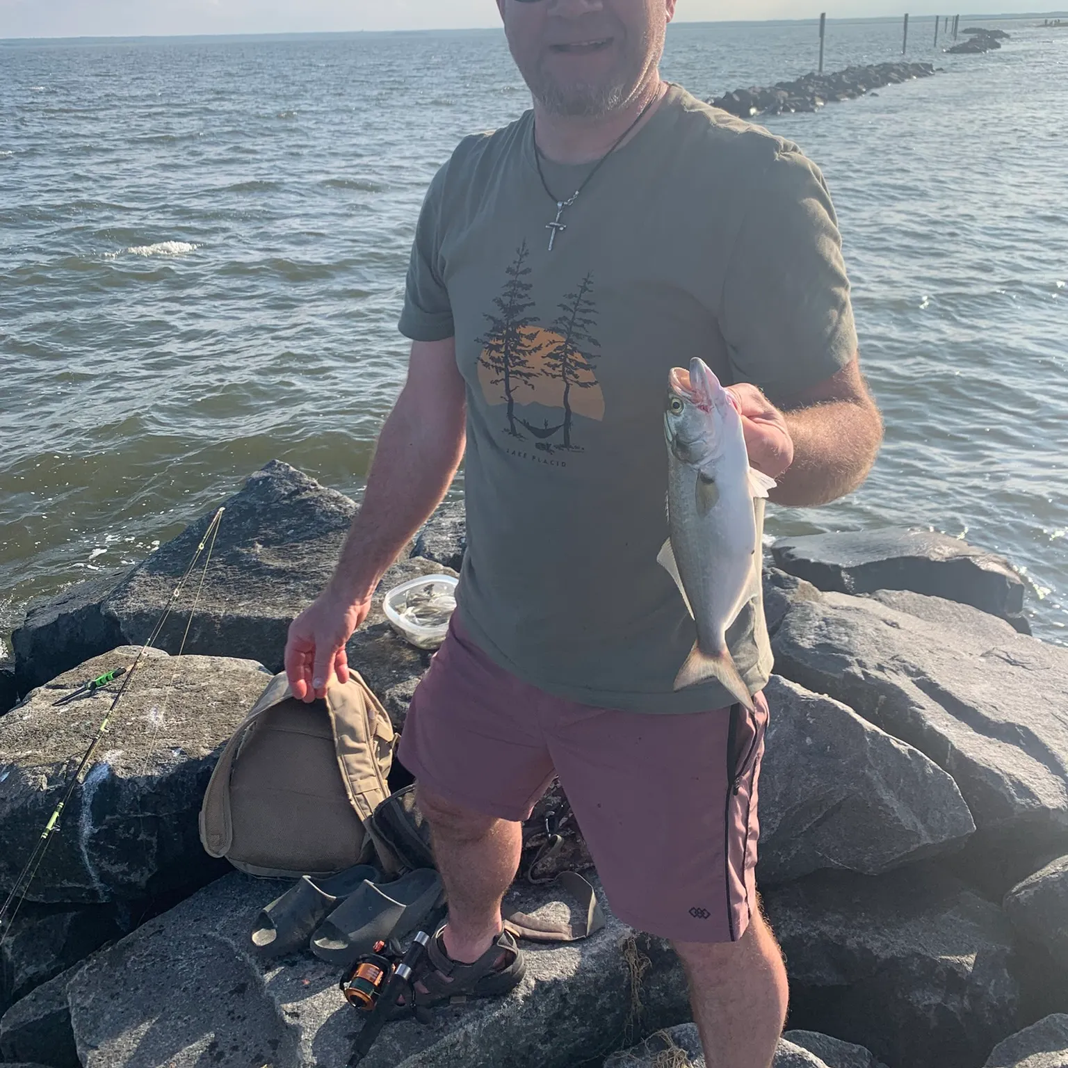 The most recent Bluefish catches on Fishbrain
