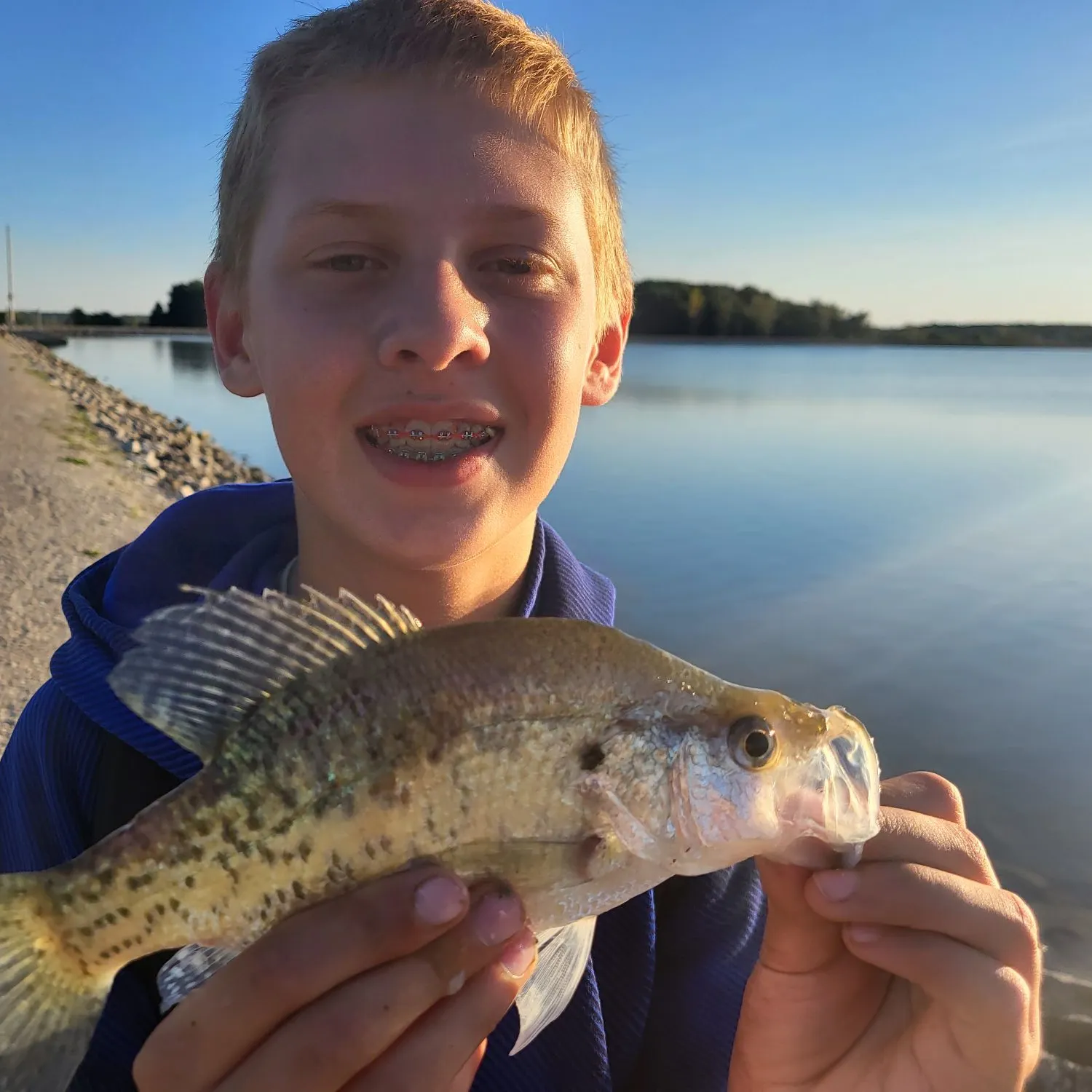 White crappie caught on Fishbrain