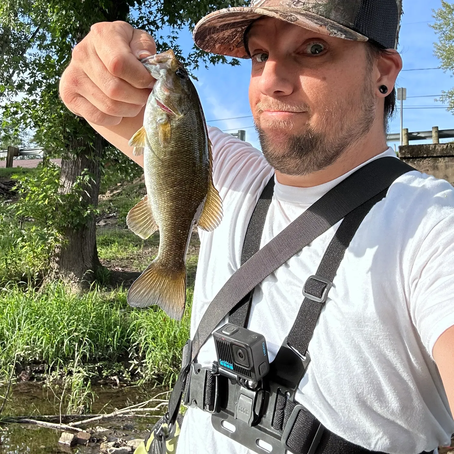 Smallmouth bass caught on Fishbrain