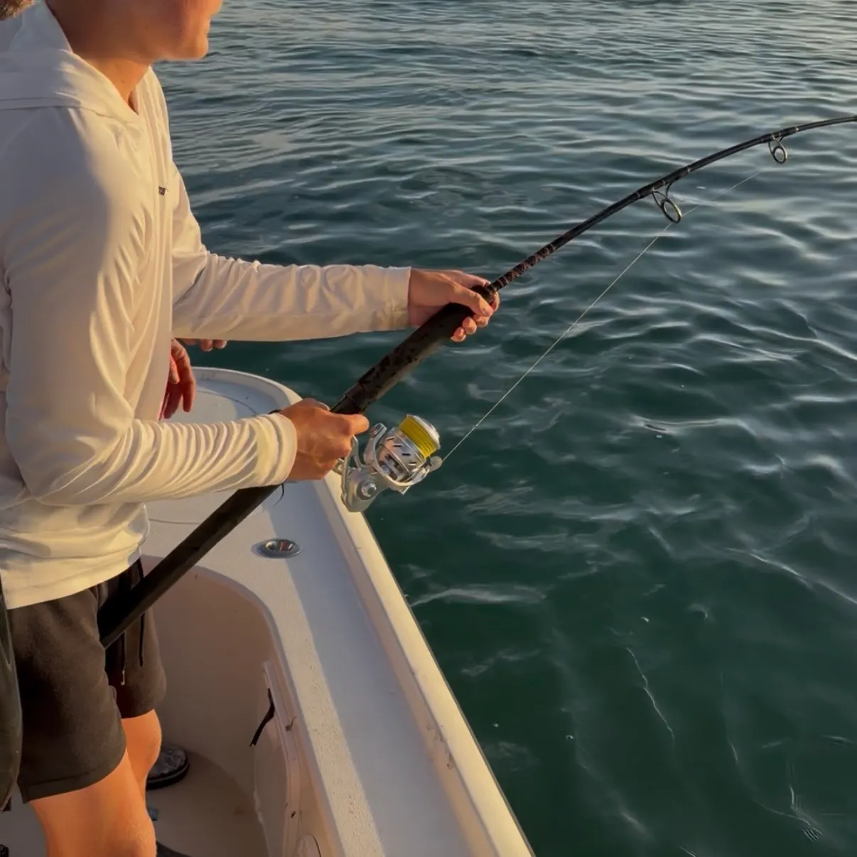 Southern stingray caught on Fishbrain