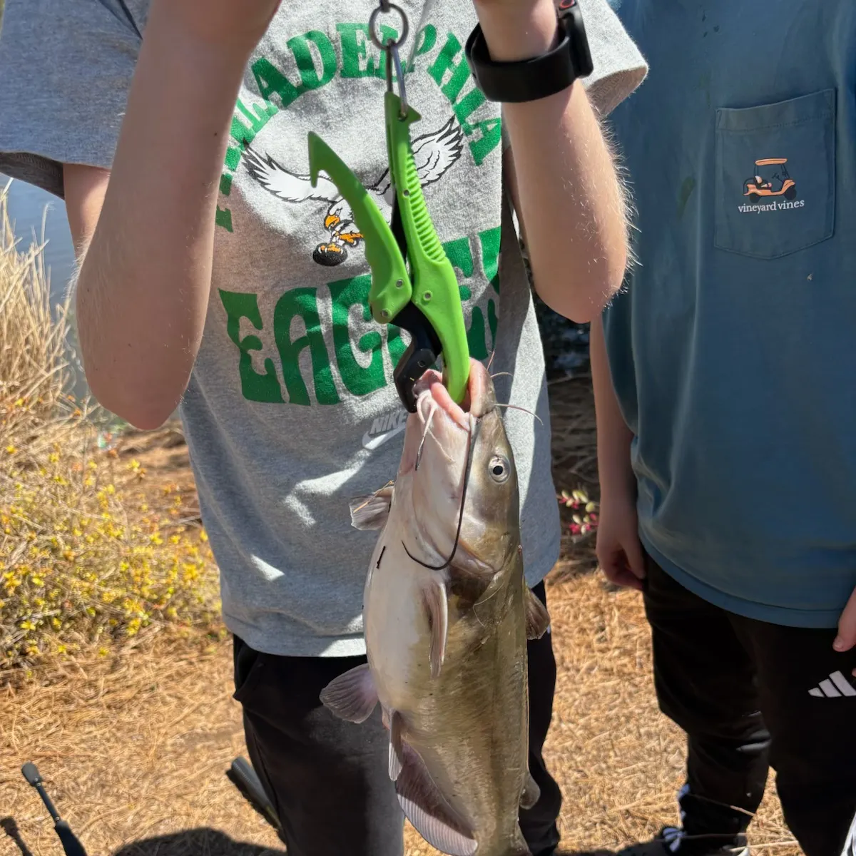 catch