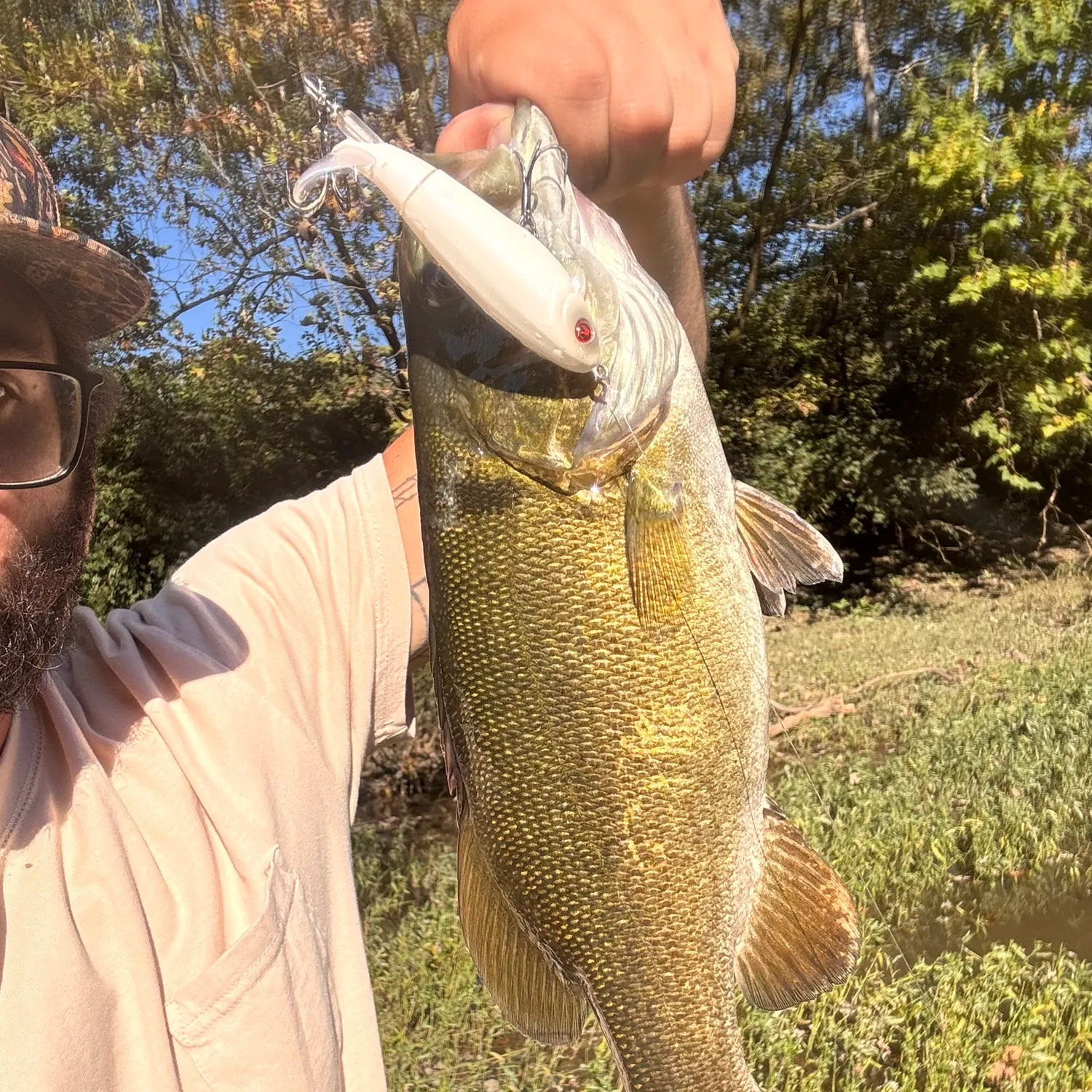 Smallmouth bass caught on Fishbrain