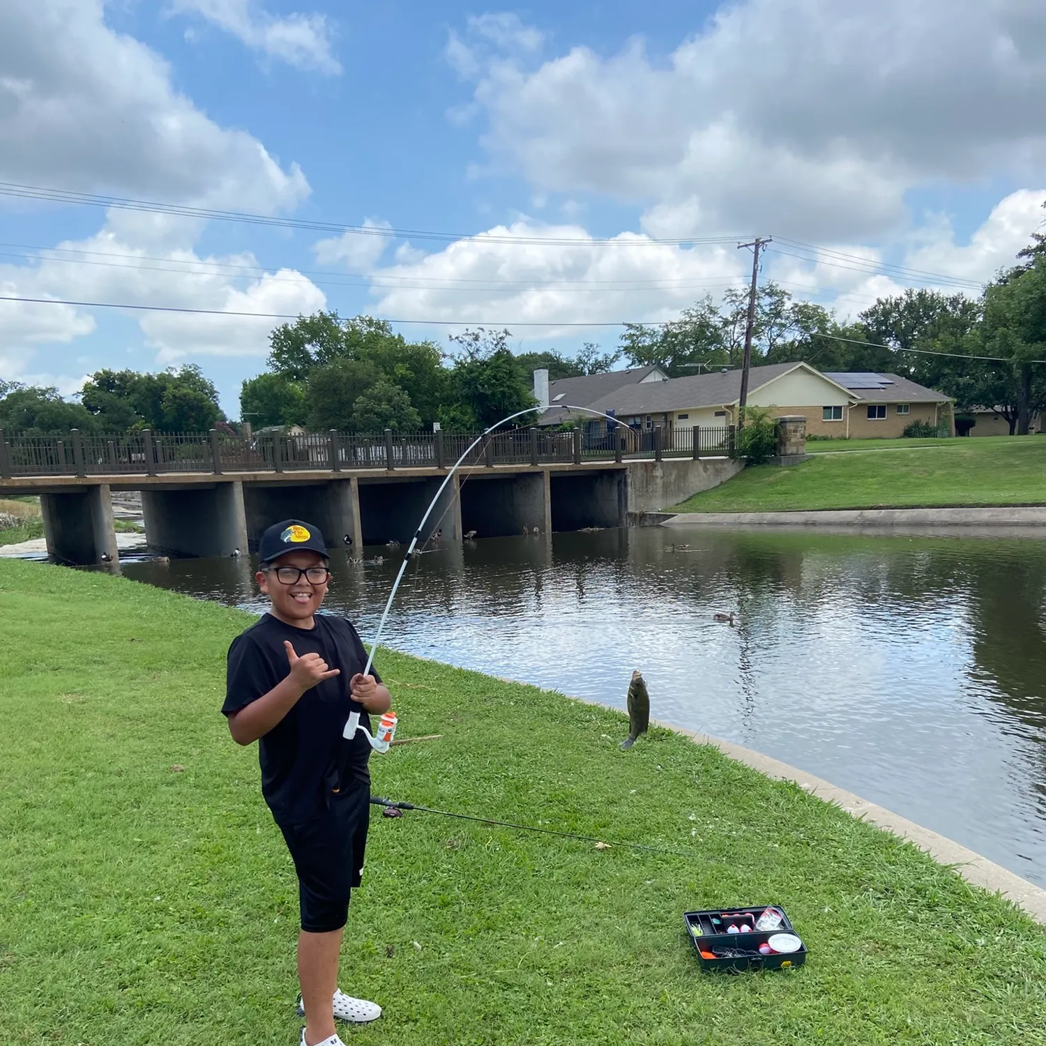 The most recent Bluegill x longear sunfish catches on Fishbrain