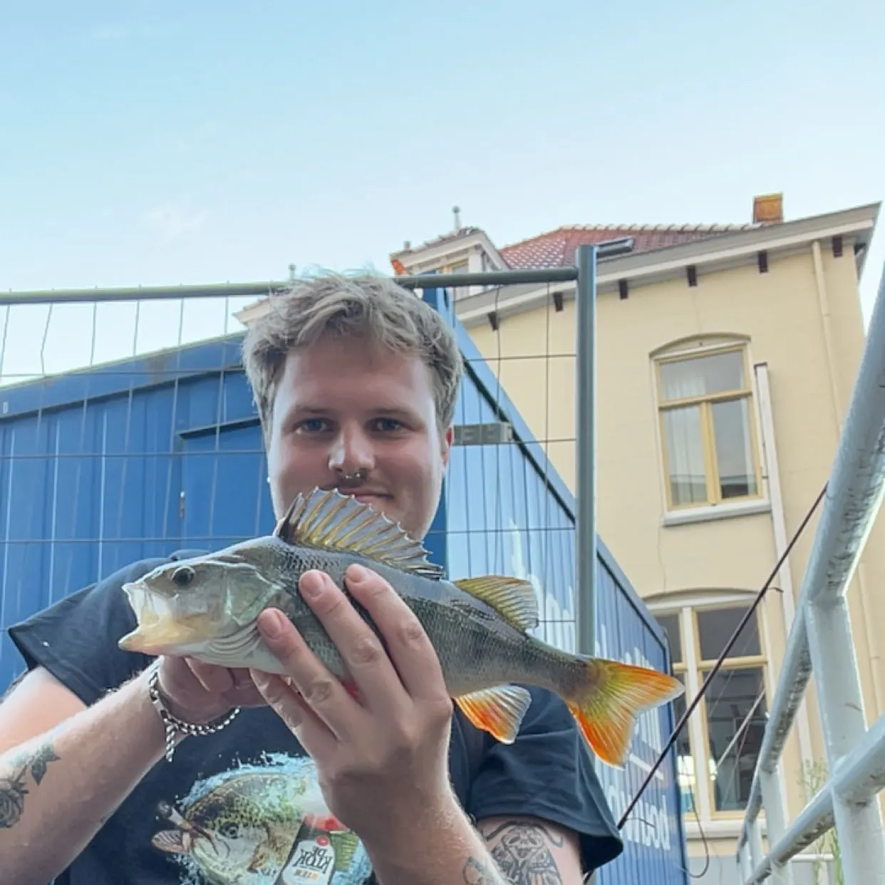 European perch caught on Fishbrain