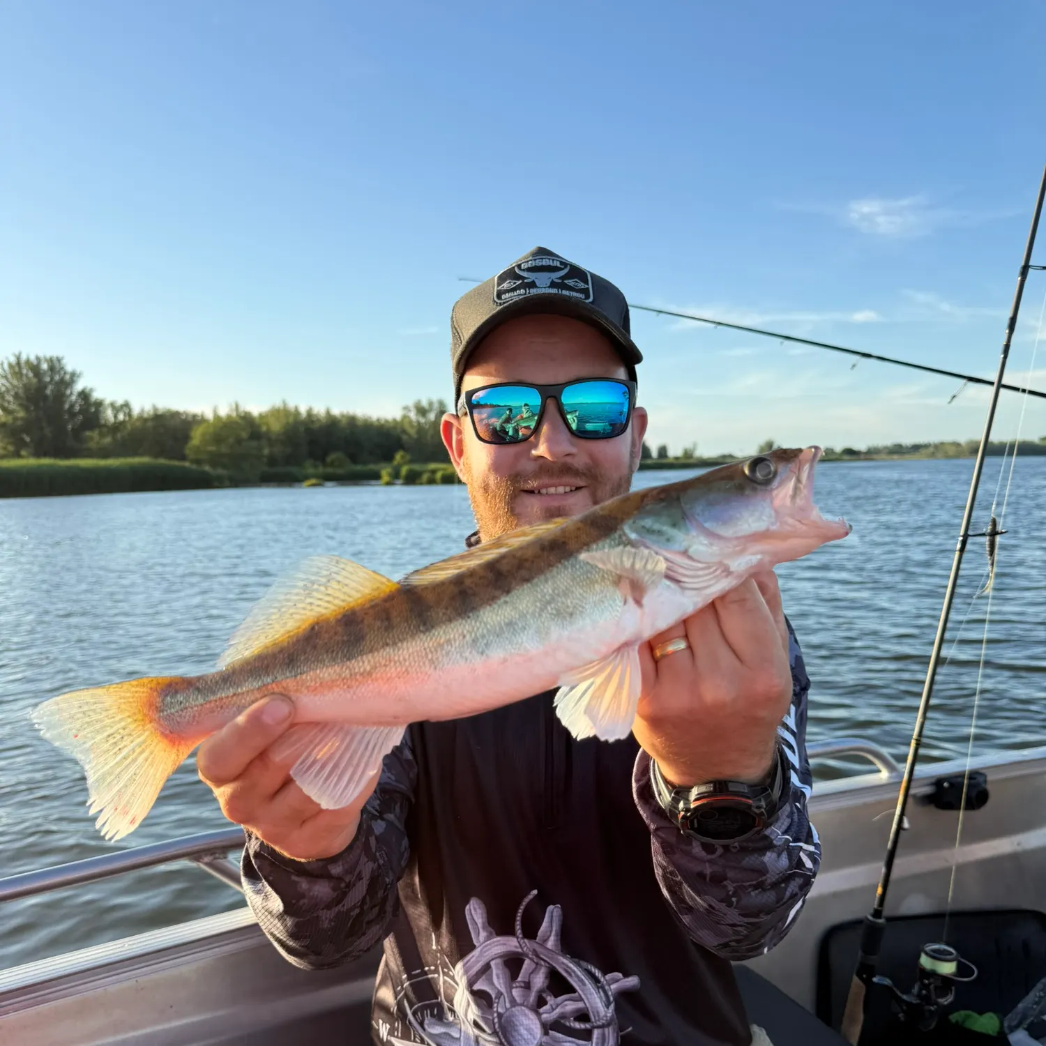 Zander caught on Fishbrain