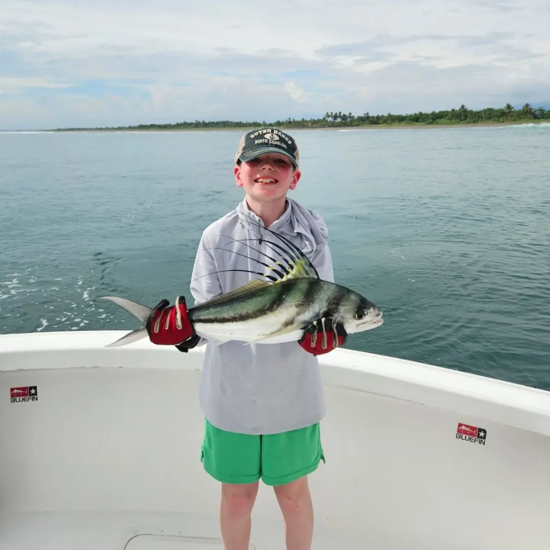 The most recent Roosterfish catches on Fishbrain