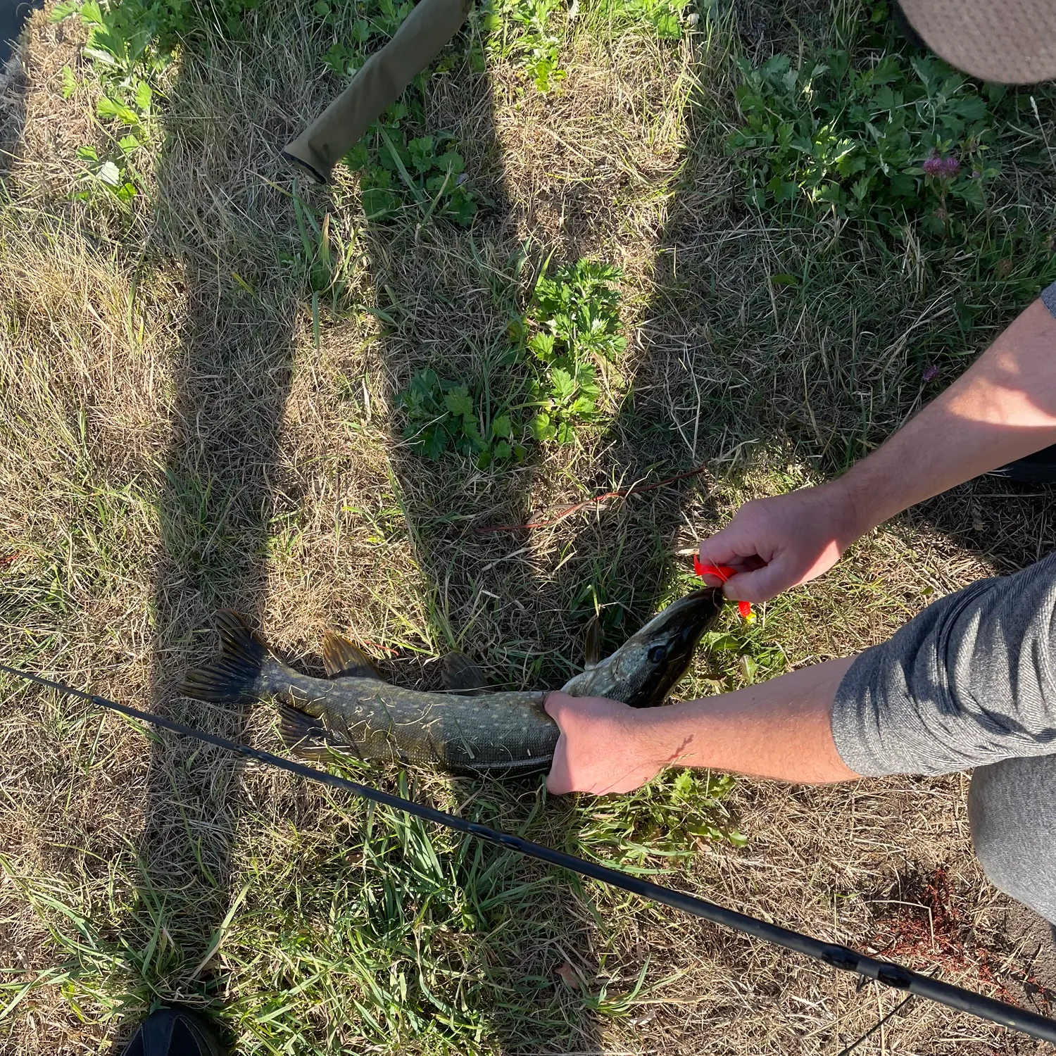 catch