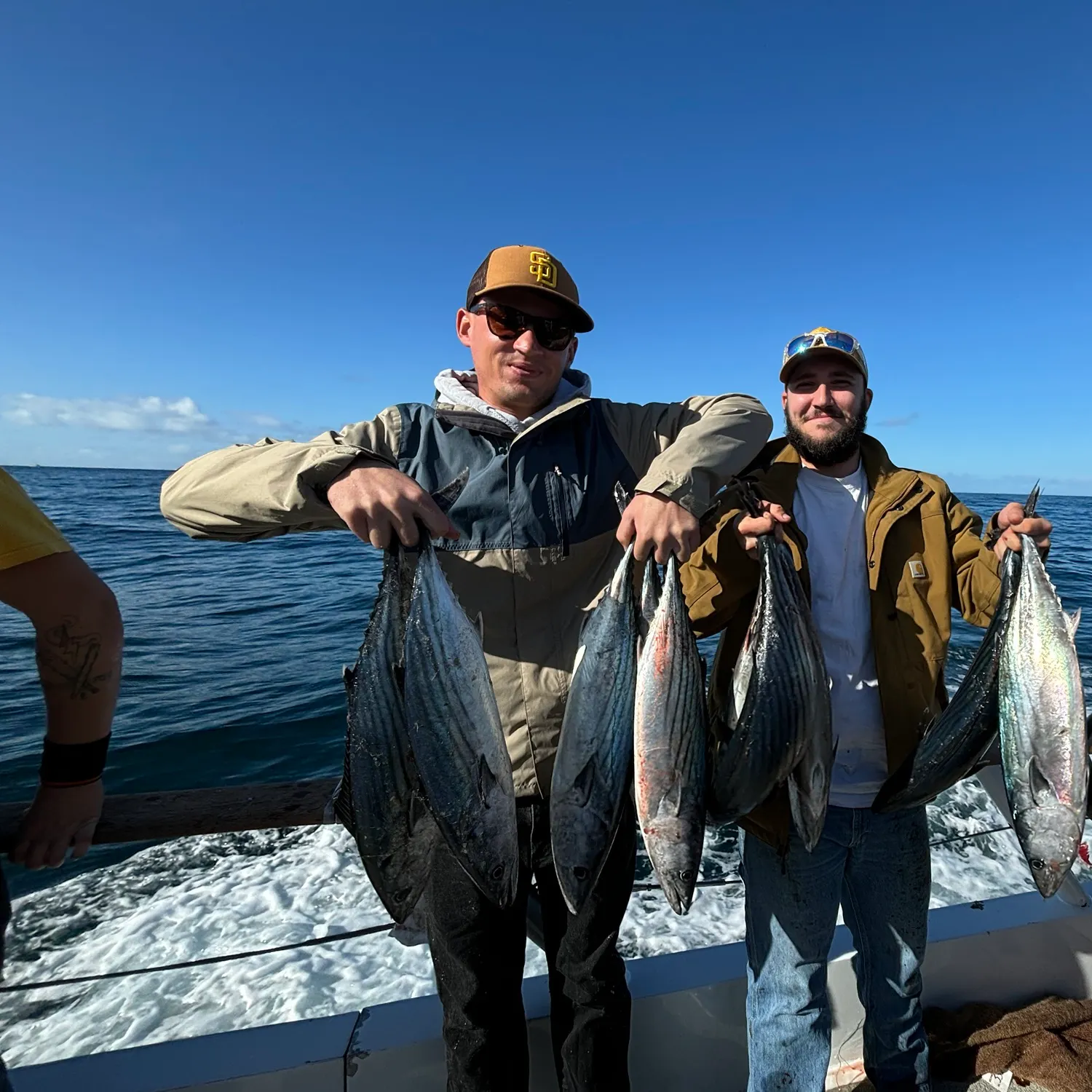The most recent Eastern Pacific bonito catches on Fishbrain